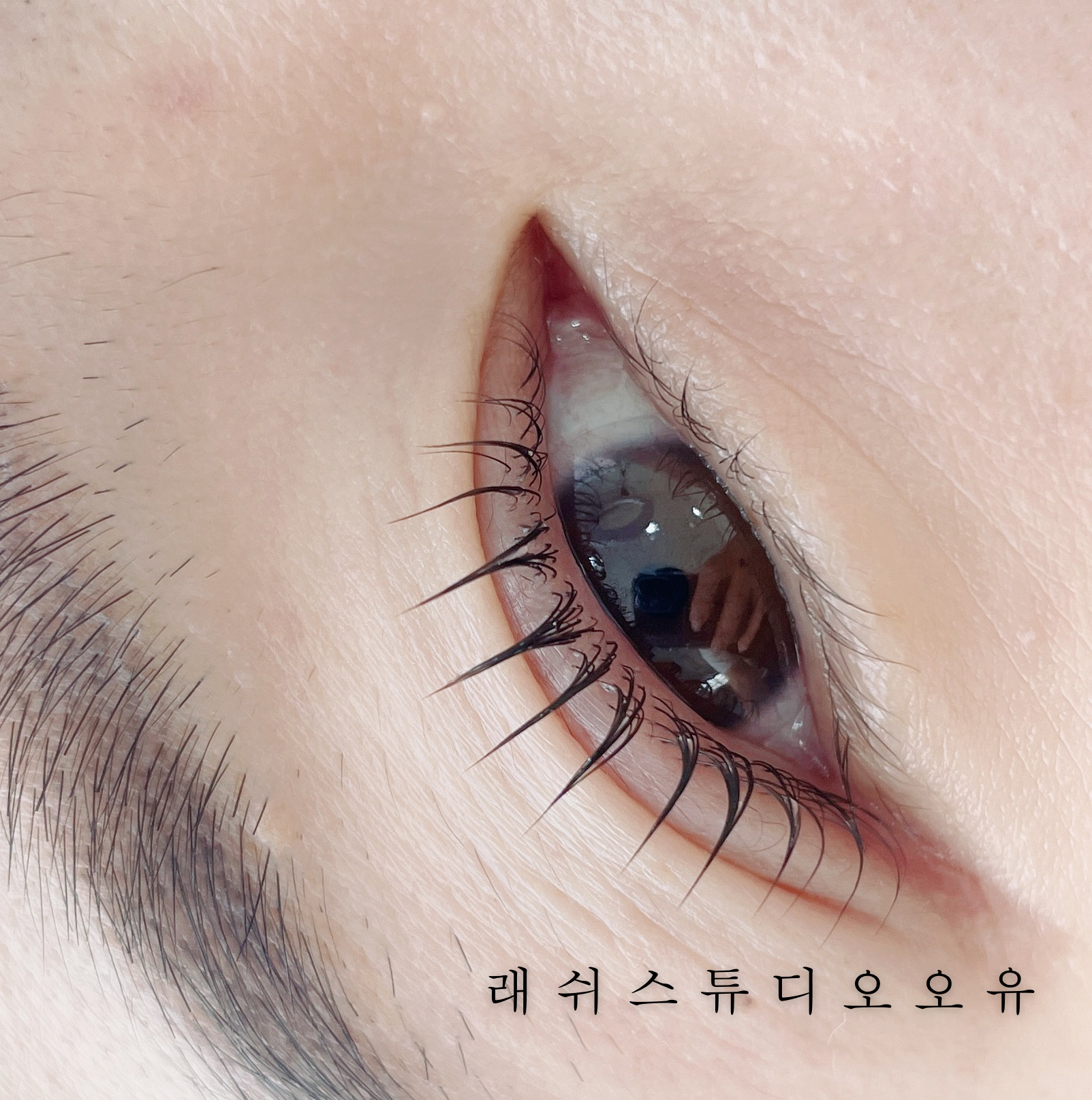 래쉬스튜디오 오유