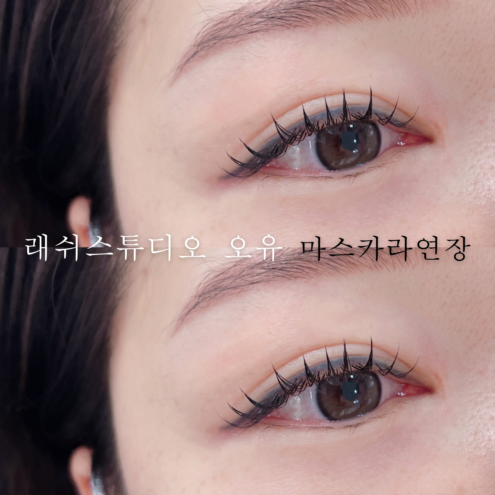 래쉬스튜디오 오유