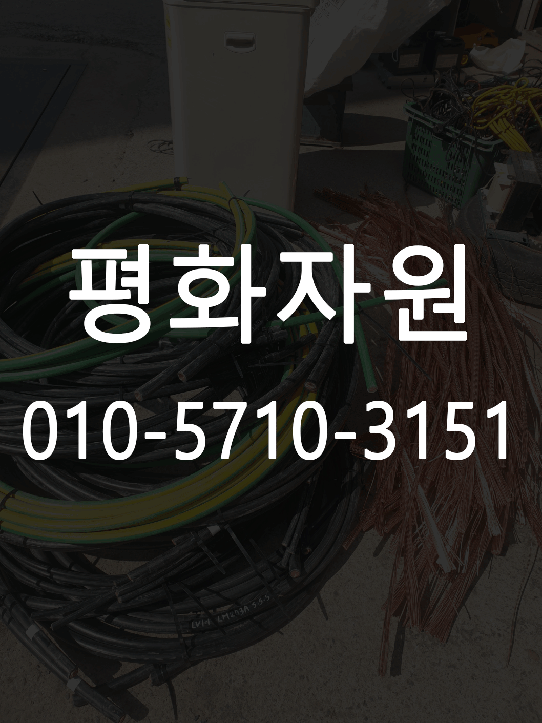 평화자원