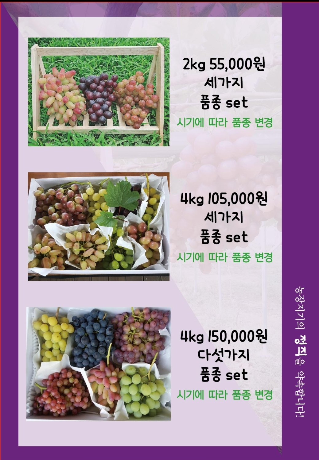 수필포도원