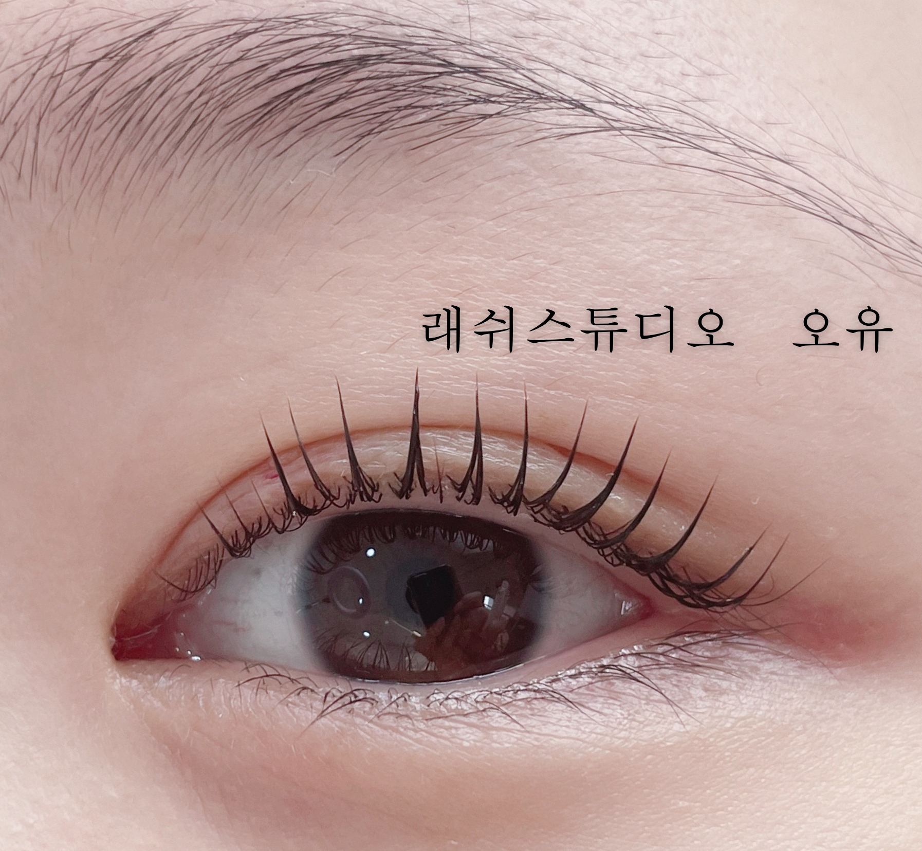 래쉬스튜디오 오유
