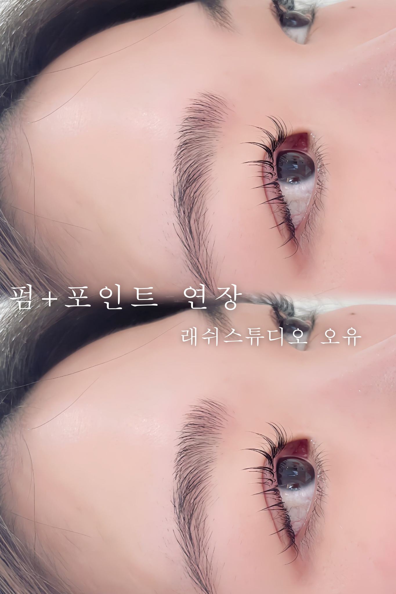 래쉬스튜디오 오유