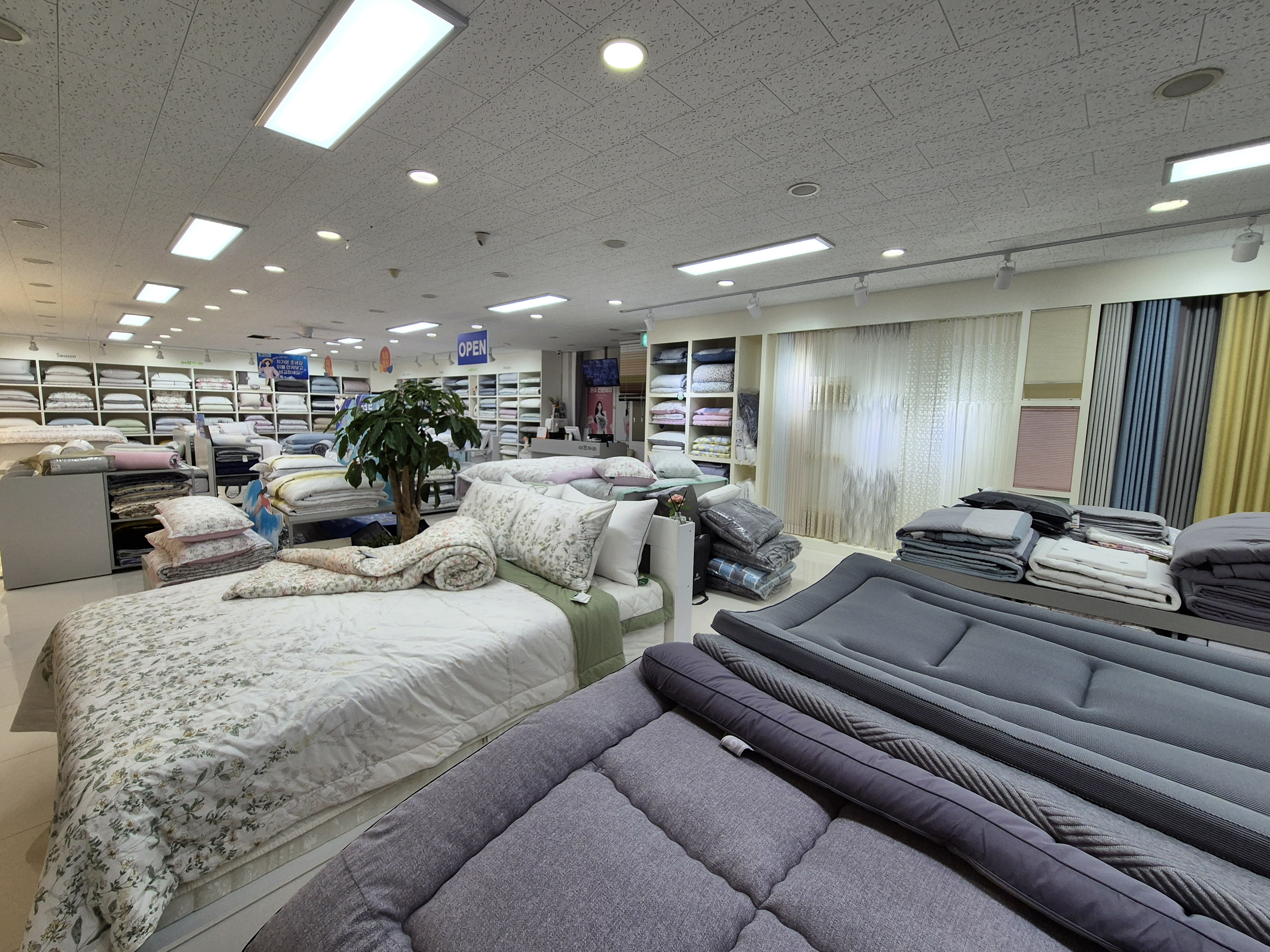 이브자리 코디센 슬립앤슬립 평택지제역점