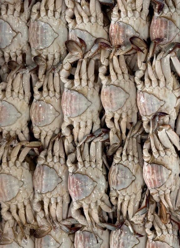 야무진 수산