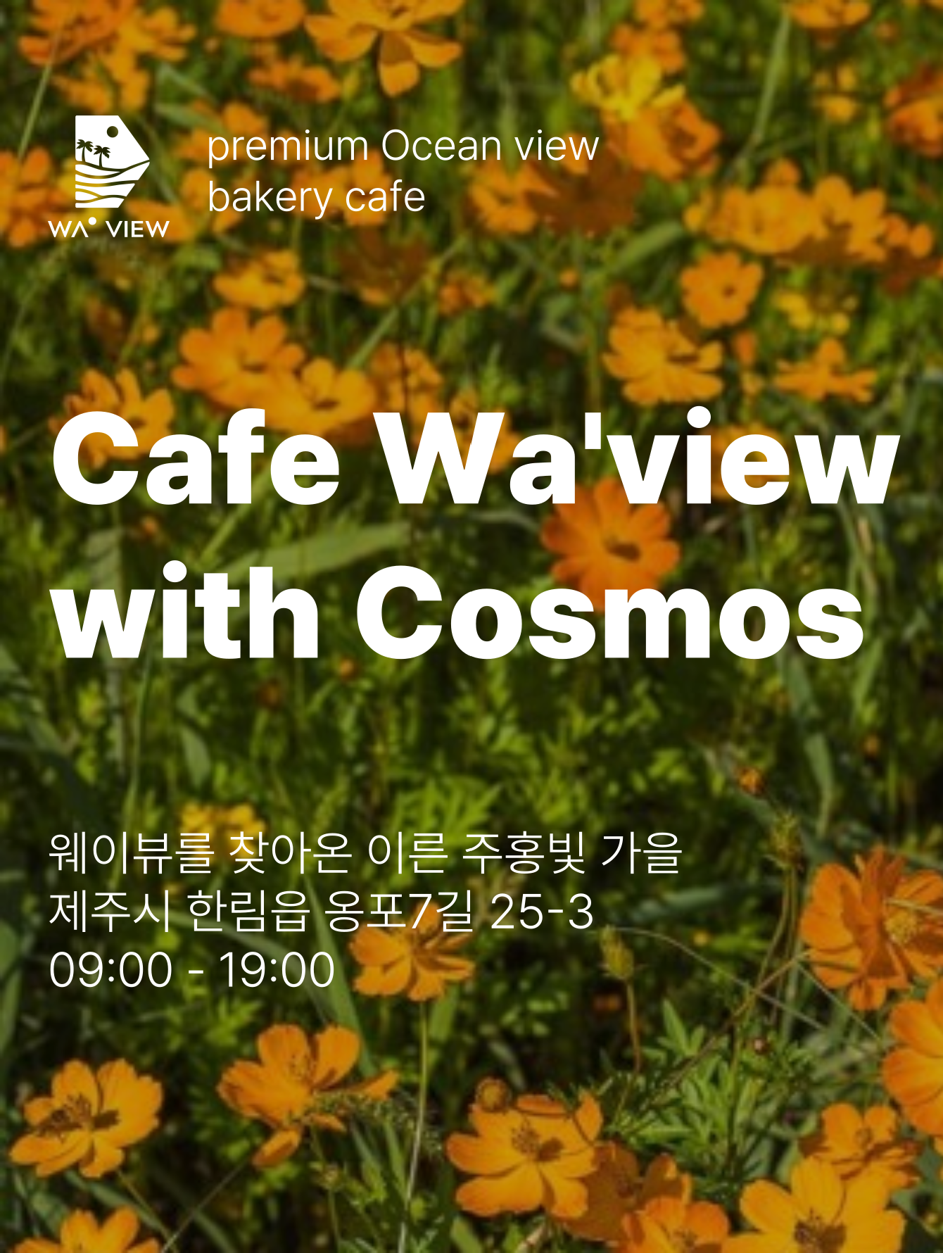 바다가보이는카페추천 제주 제주시 바다가보이는카페 웨이뷰 협재바다 OCEANVIEW