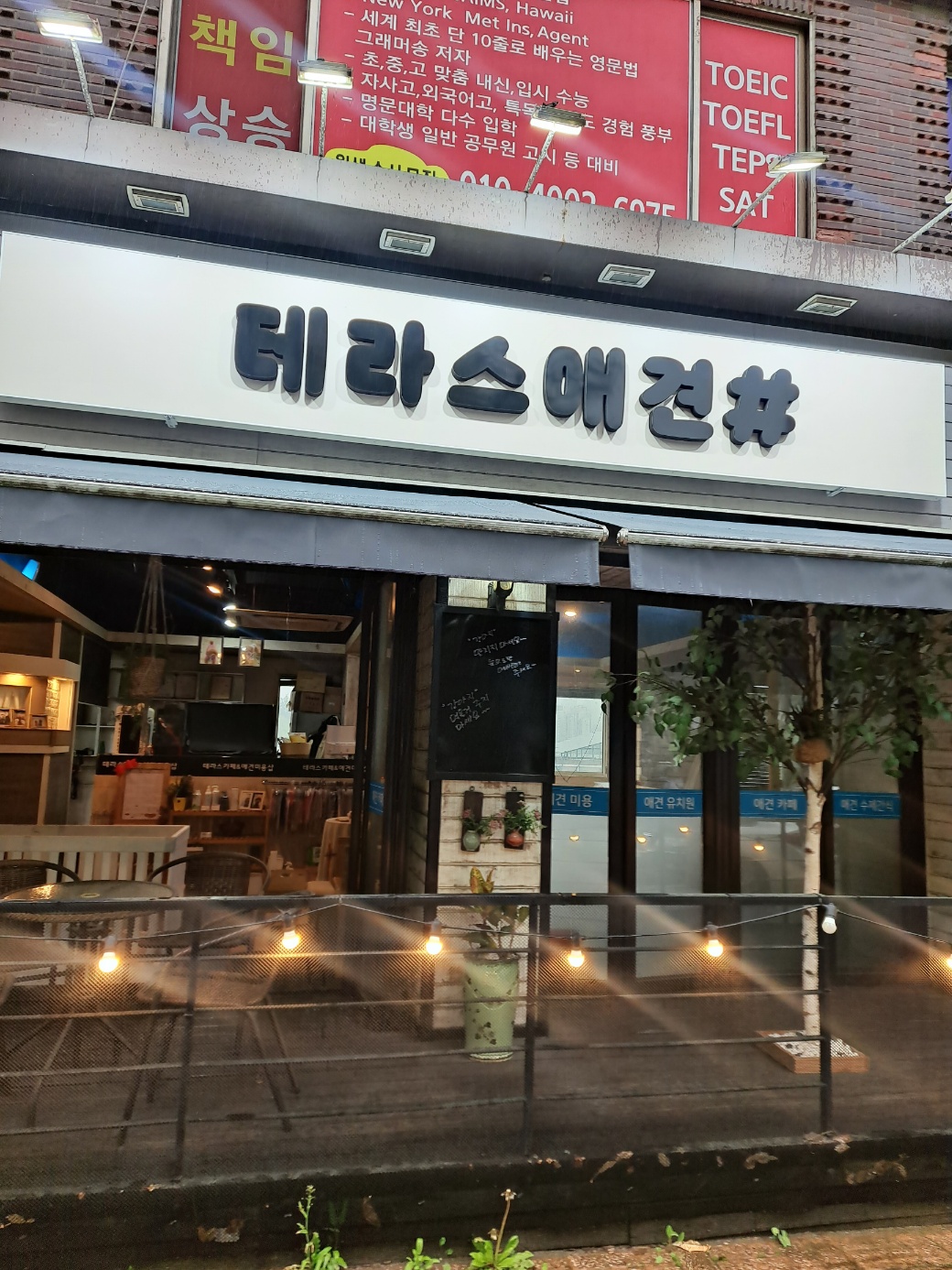 테라스애견미용카페