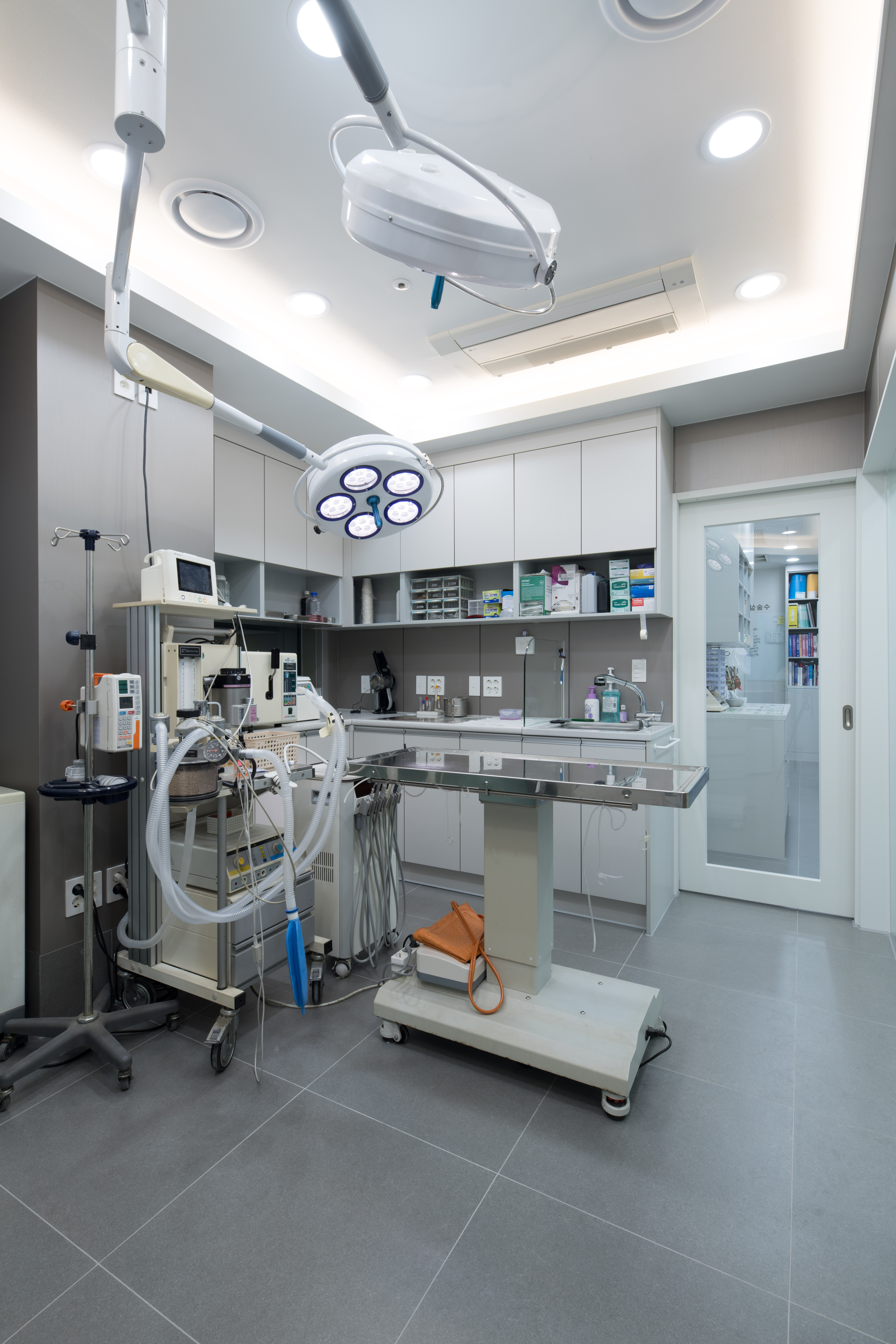 안양비산동물병원 대표 이미지