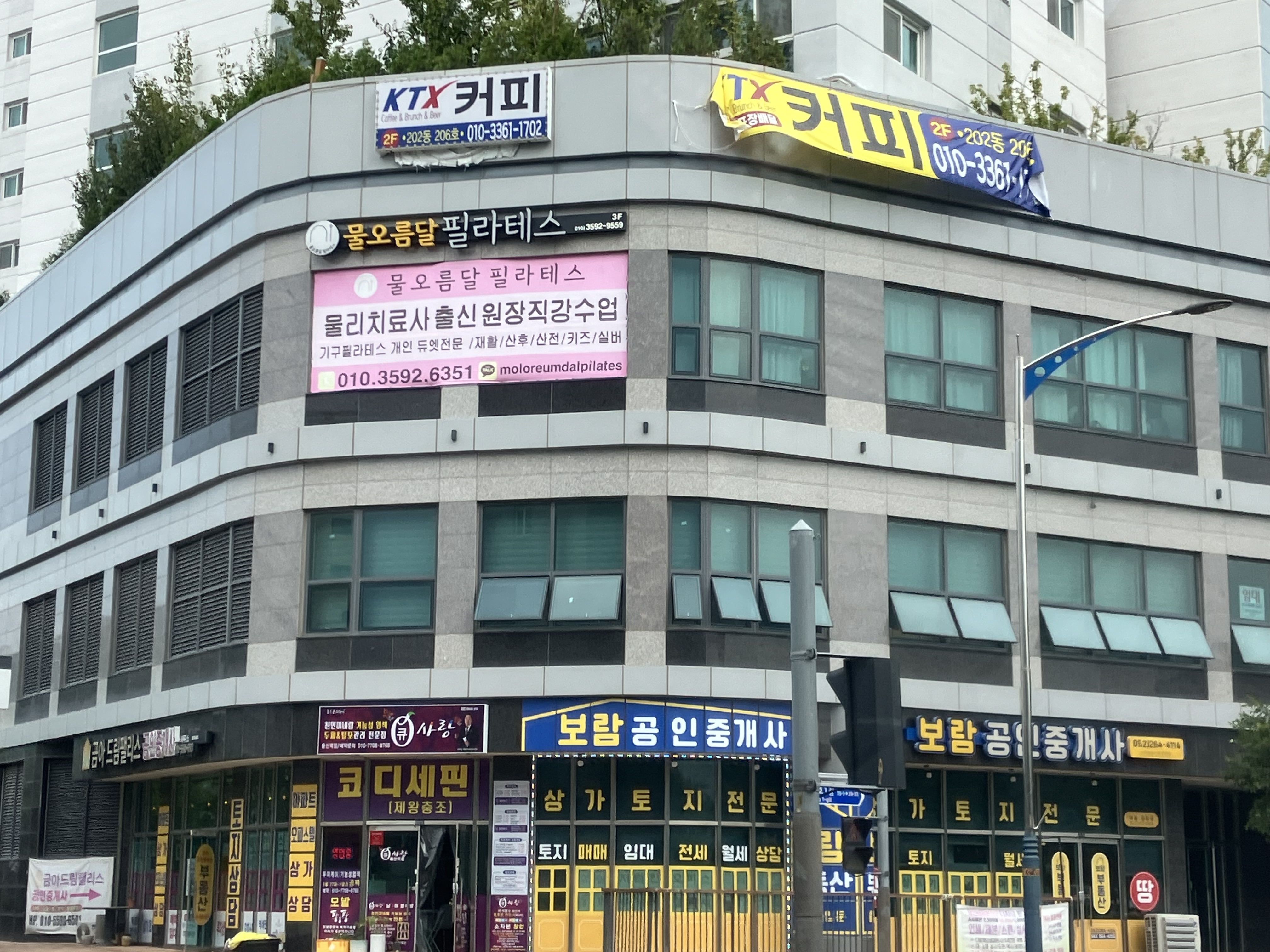 큐사랑 코디세핀