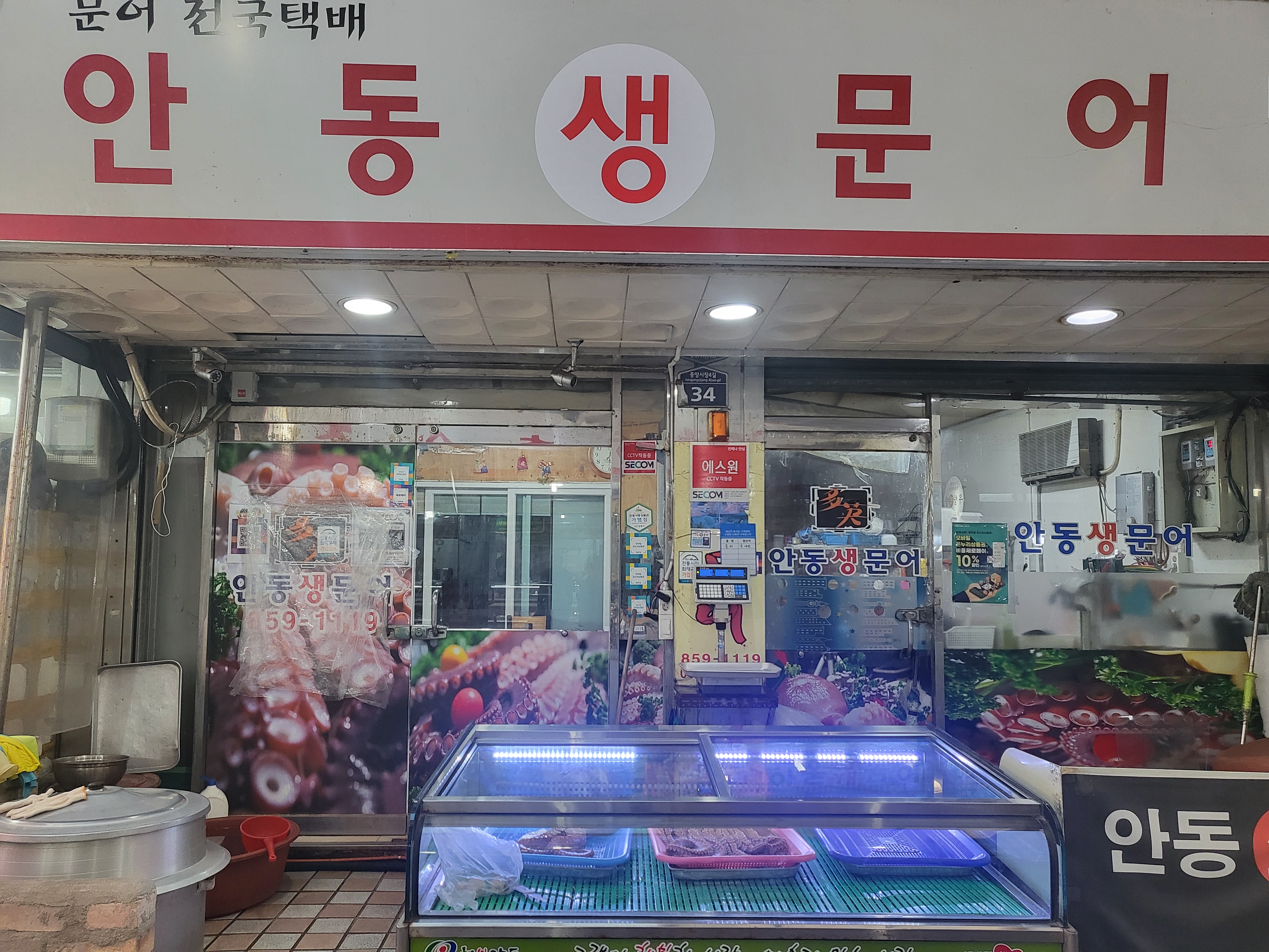 안동생문어