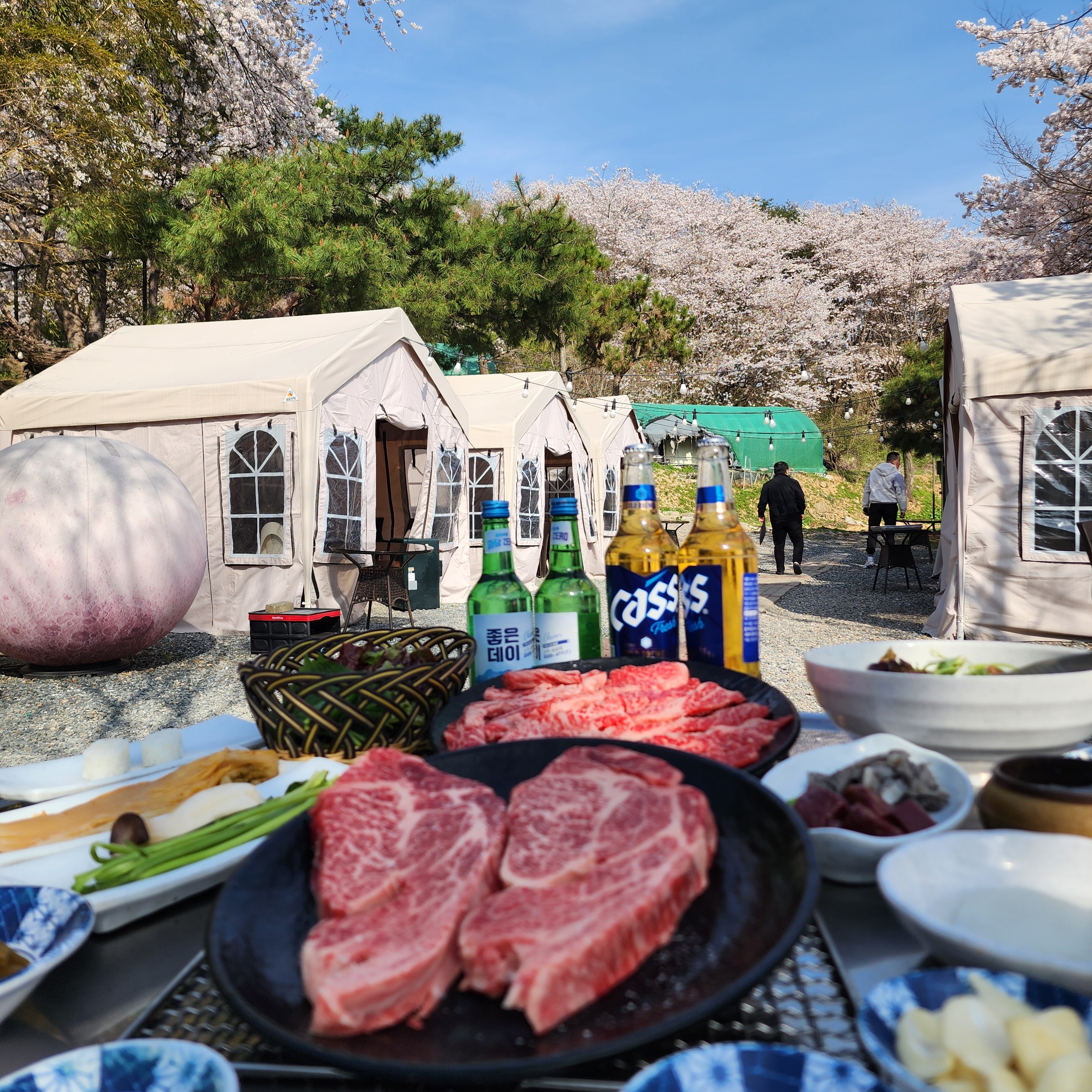 철마한우수목원