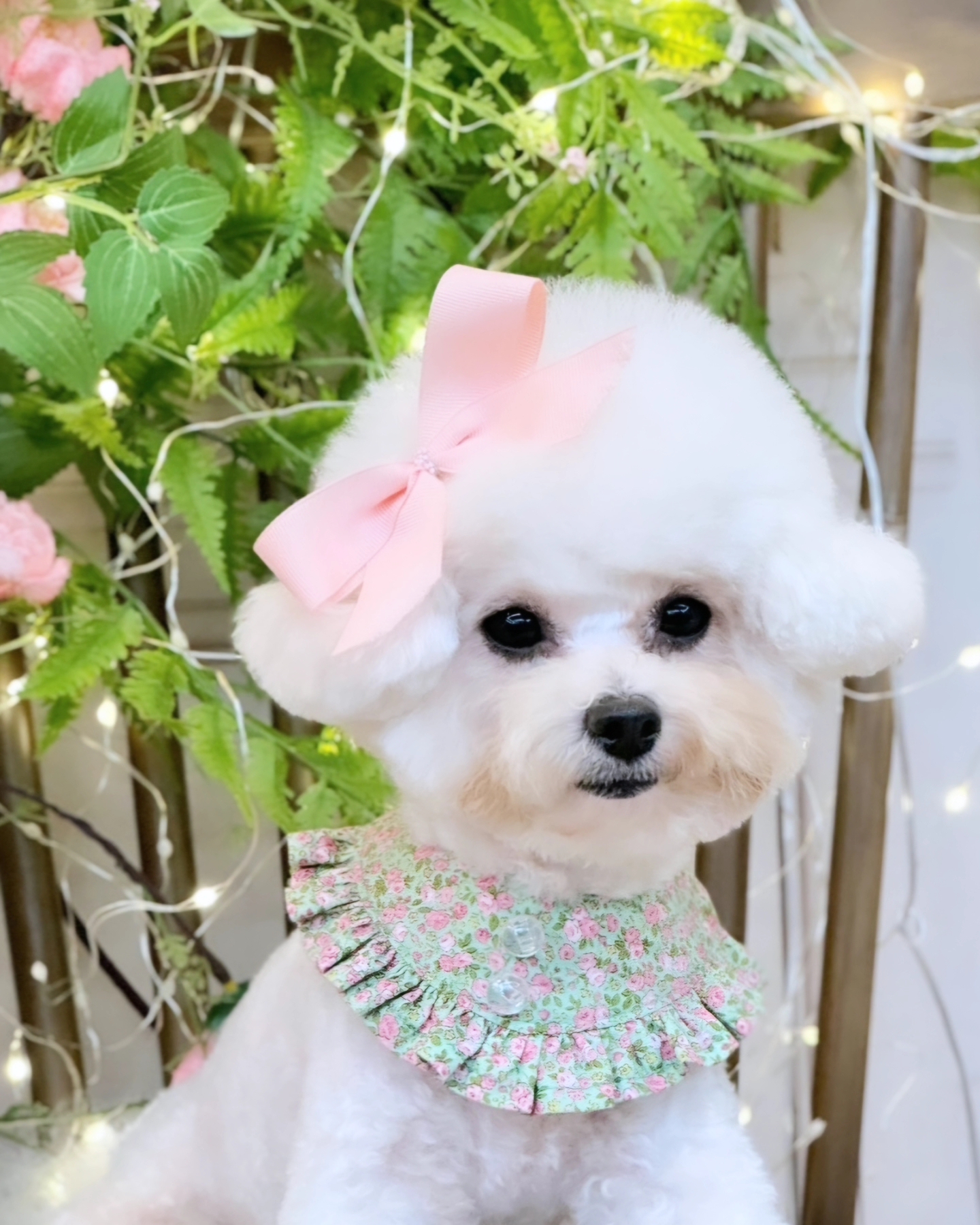 반짝이는그루밍하우스 대표 이미지