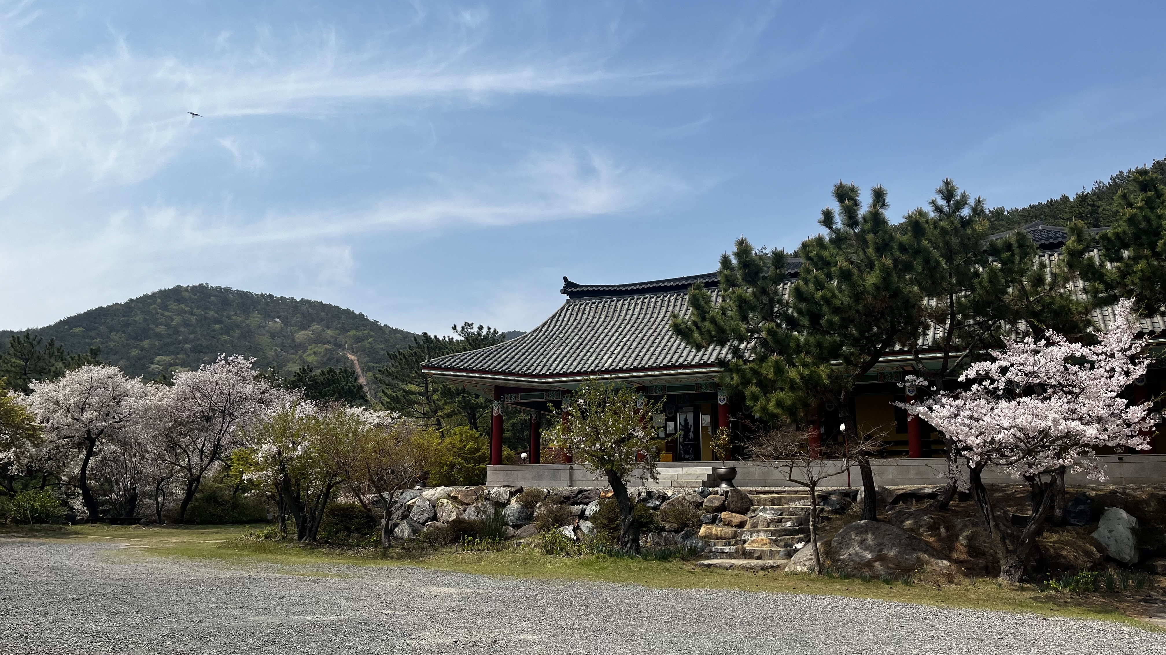 호국자운사