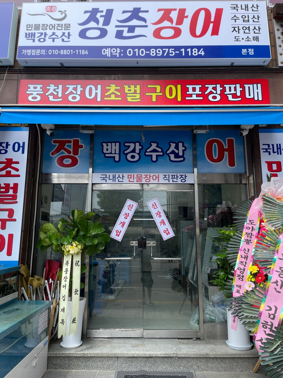 백강청춘장어