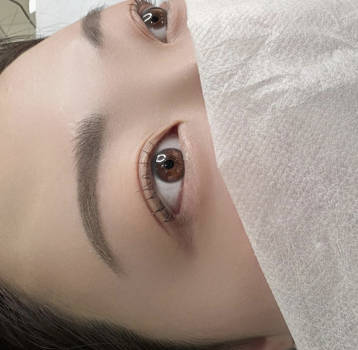 레브브로우