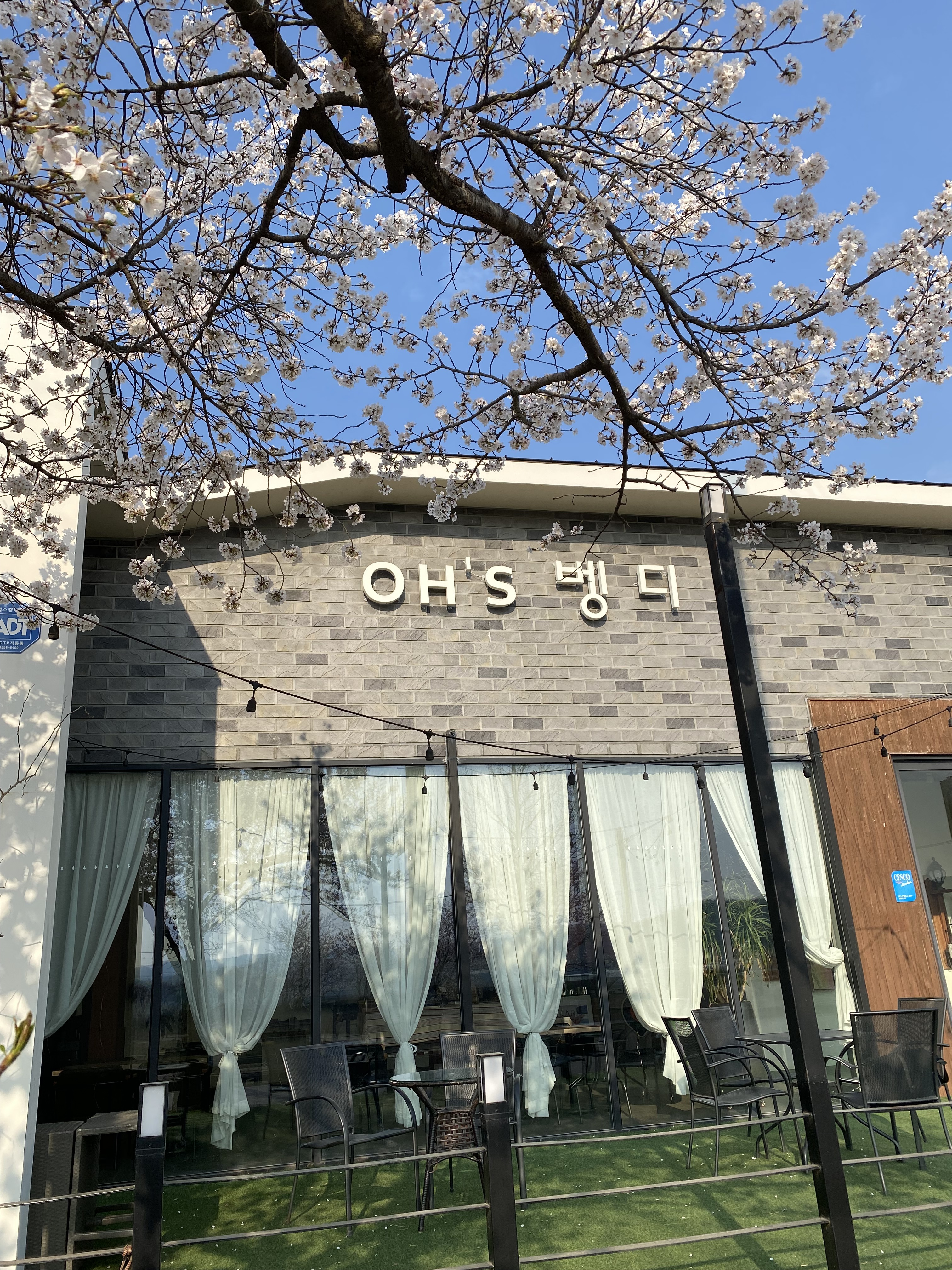 오스벵디 설명사진