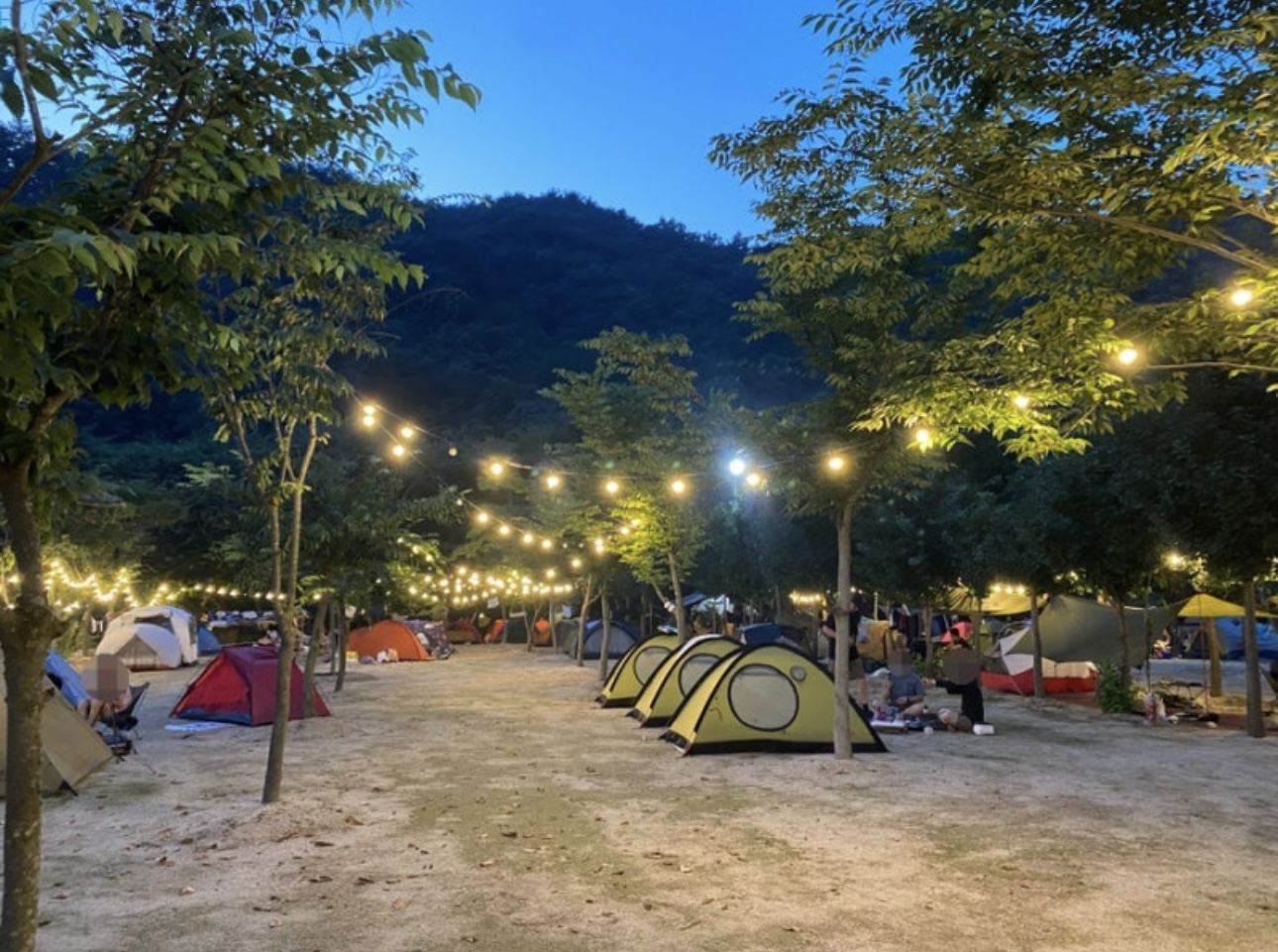 사진 1