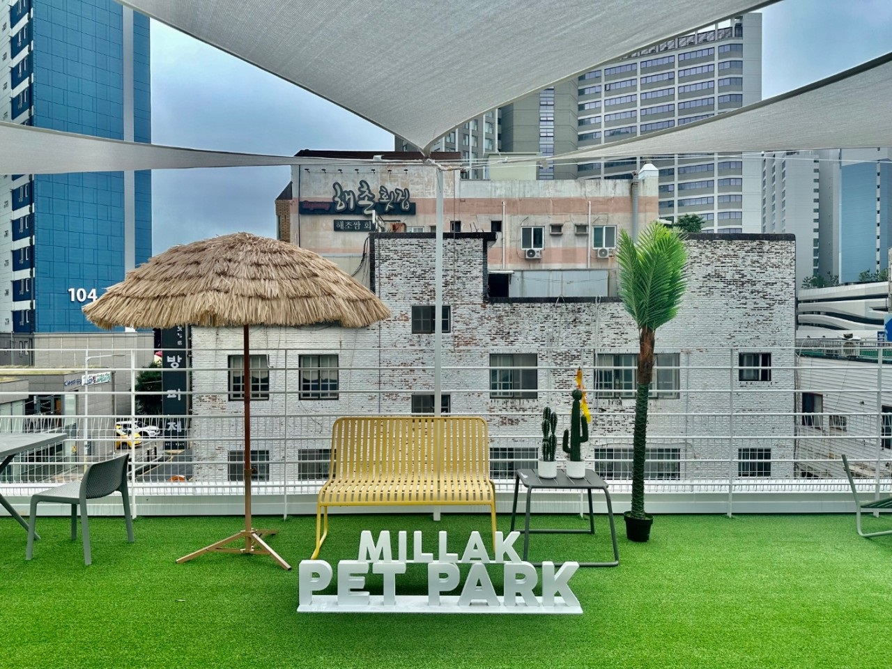 사진 2