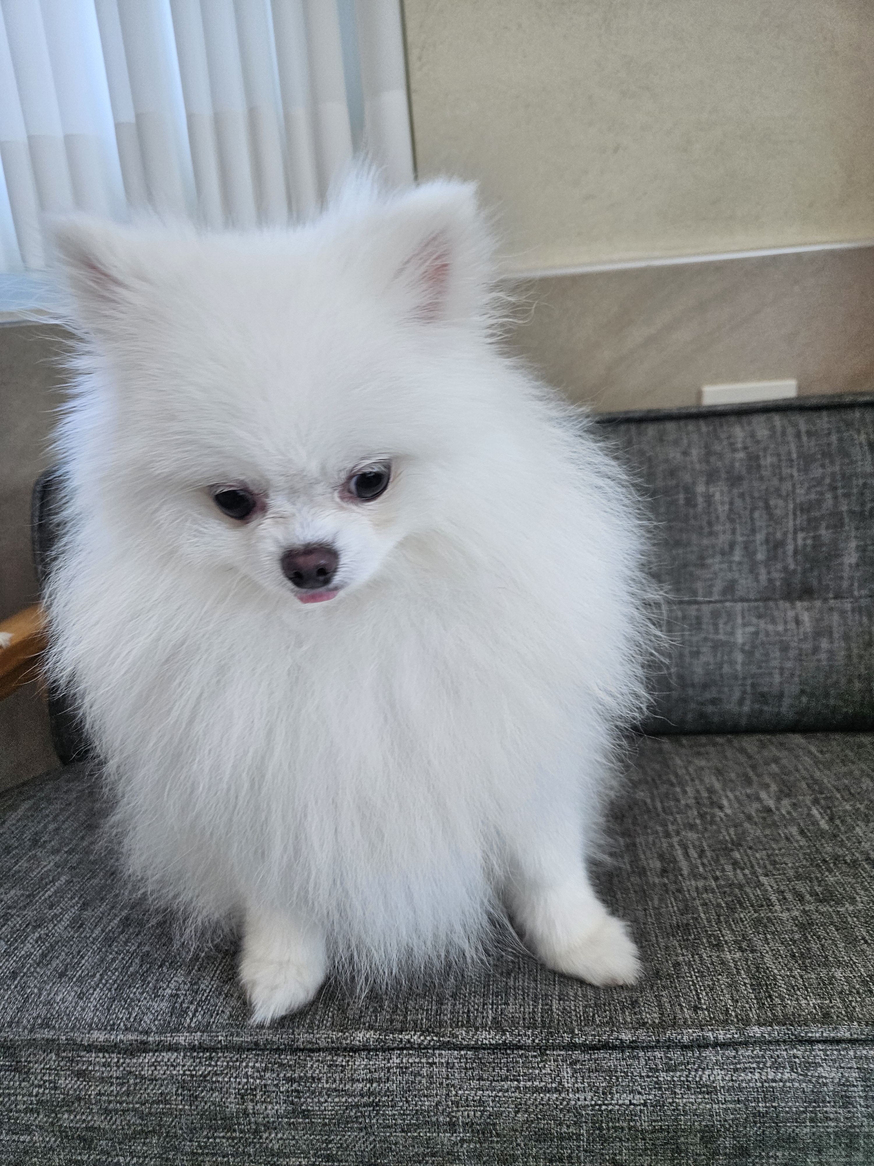 멍친카페 2