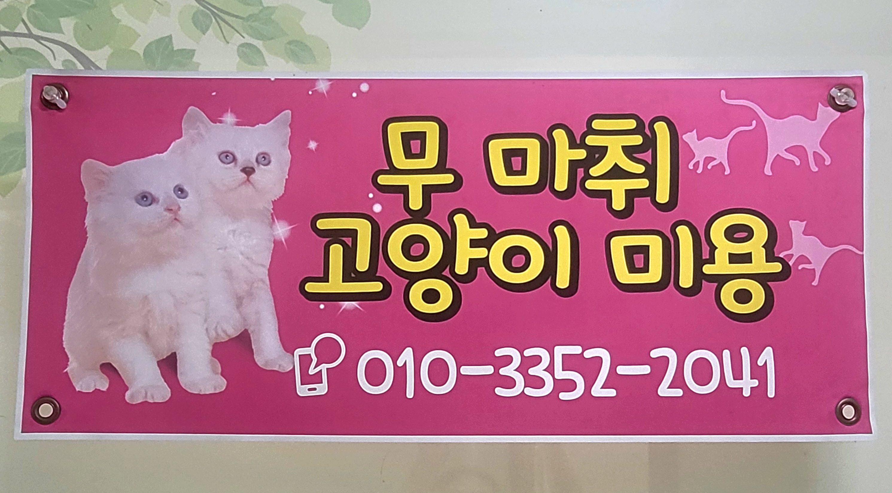 도그에이드애견샵 대표 이미지