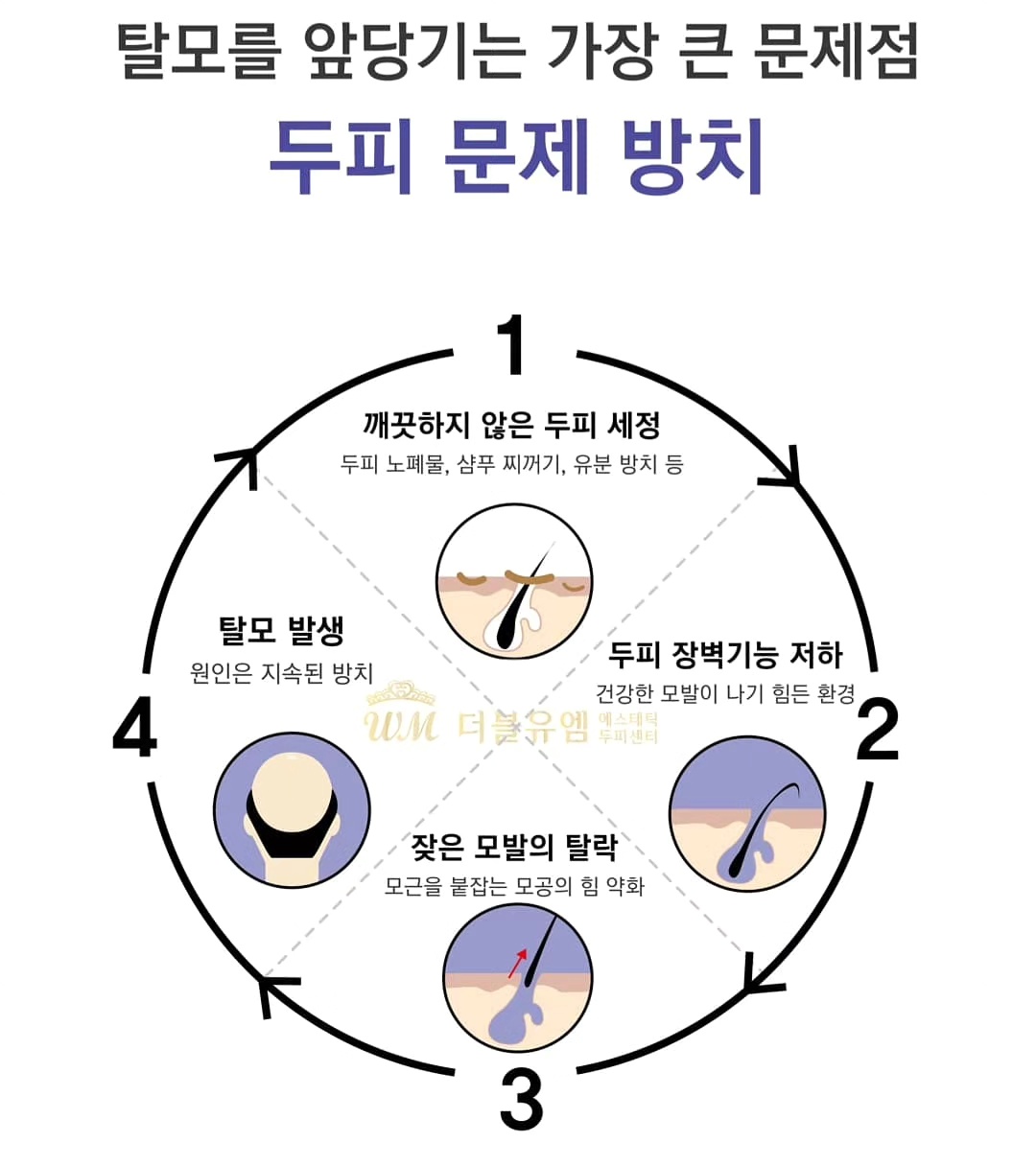 더블유엠에스테틱 대구시지점 대표 이미지