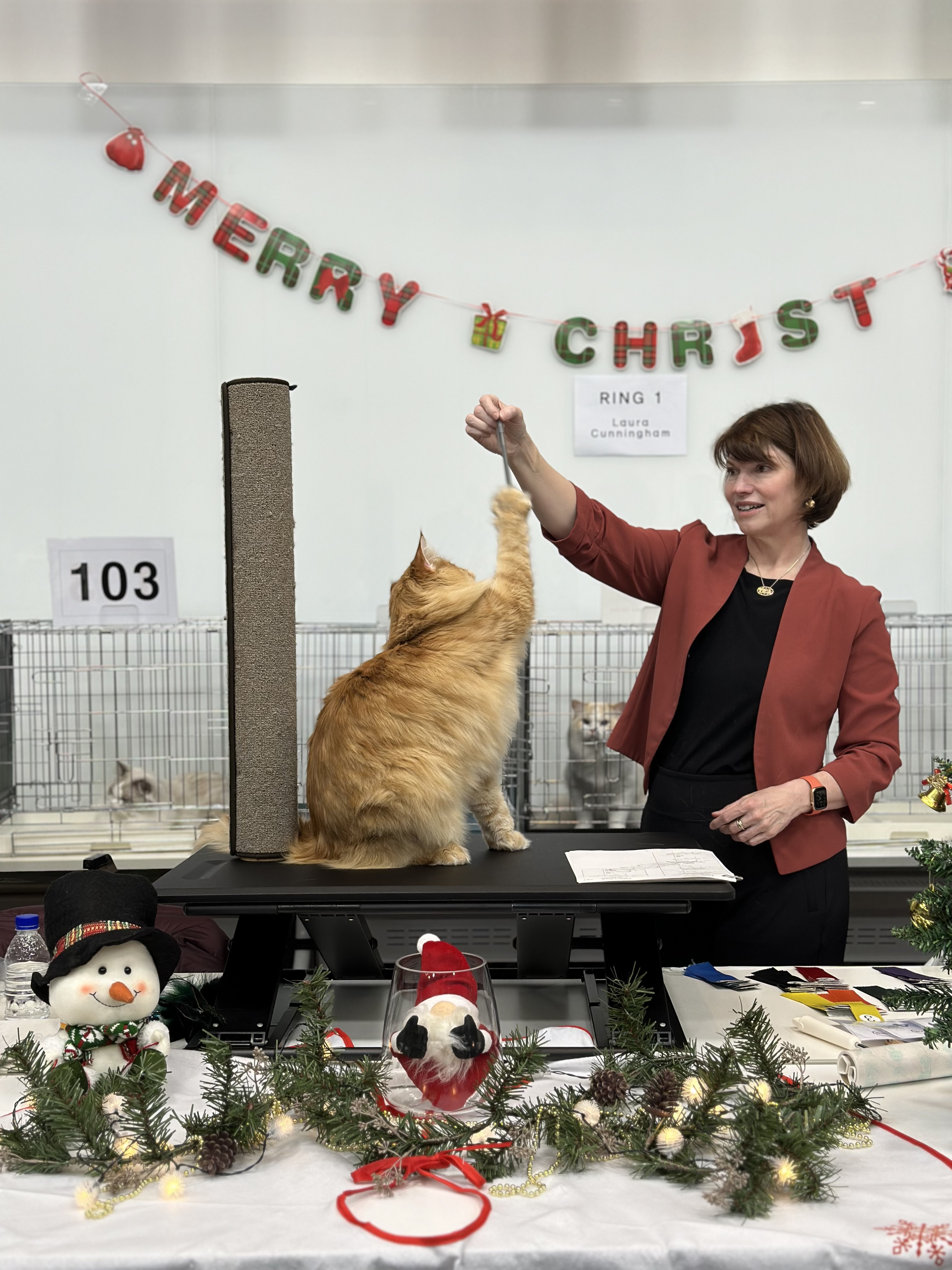 블루드라이어드