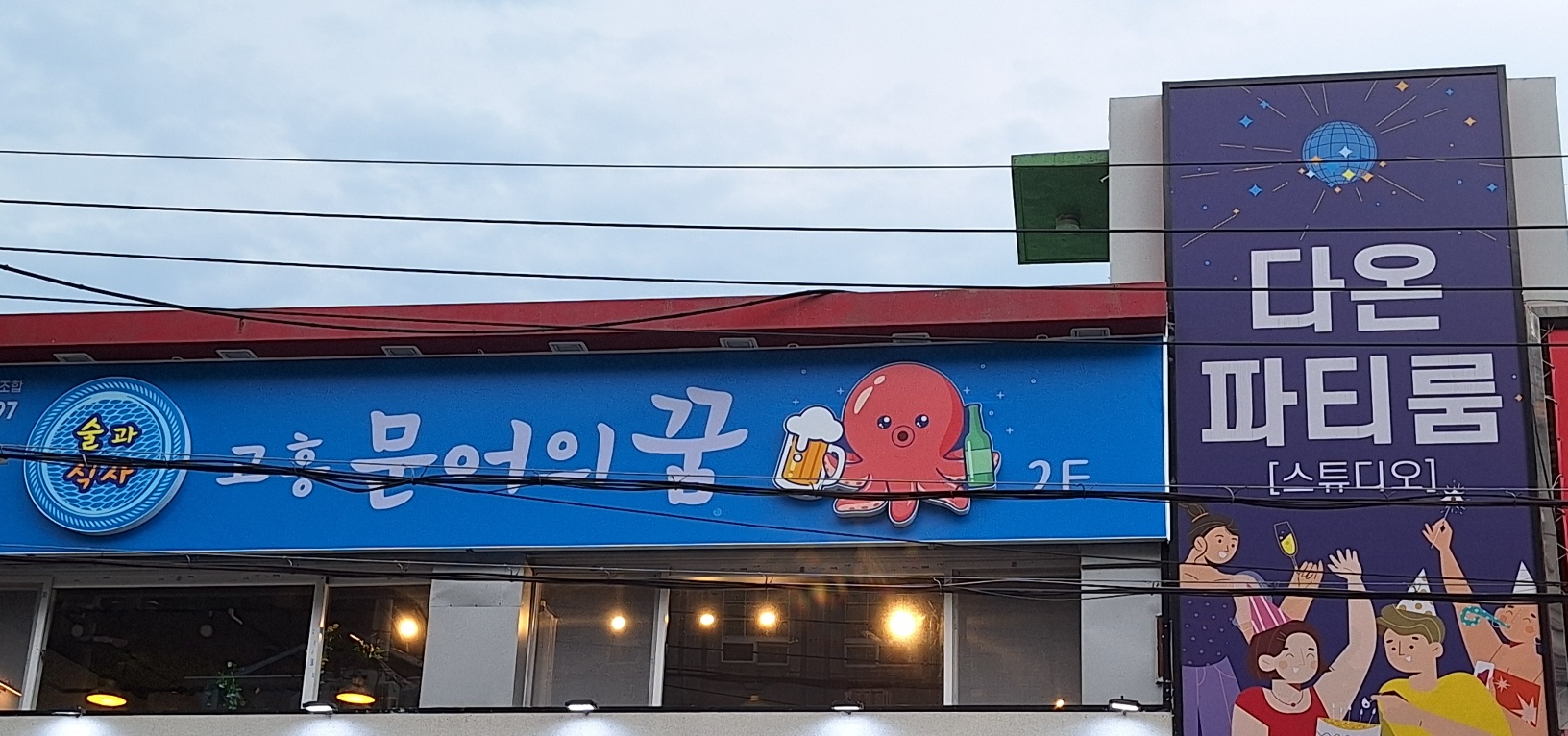 고흥문어의꿈