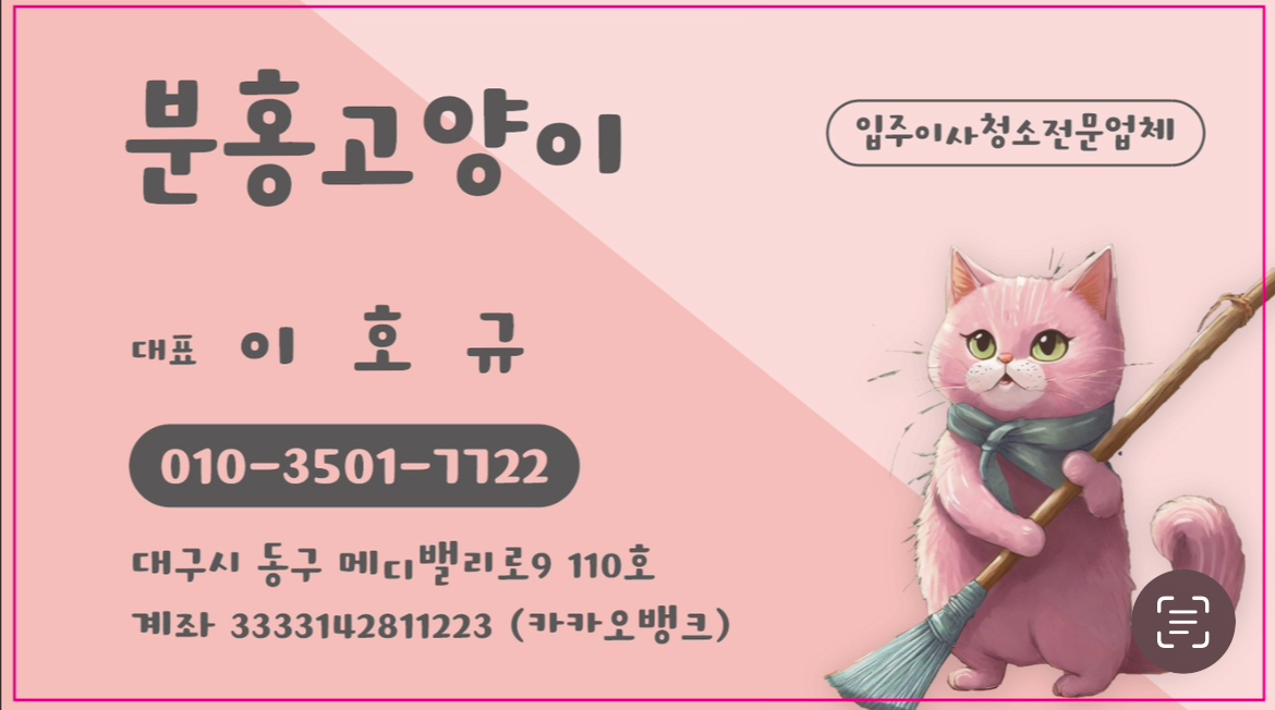 분홍고양이
