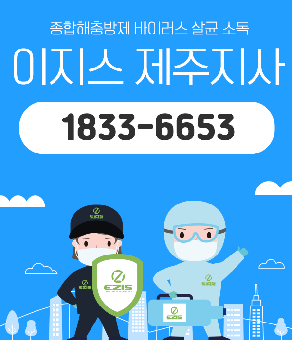 이지스 제주지사