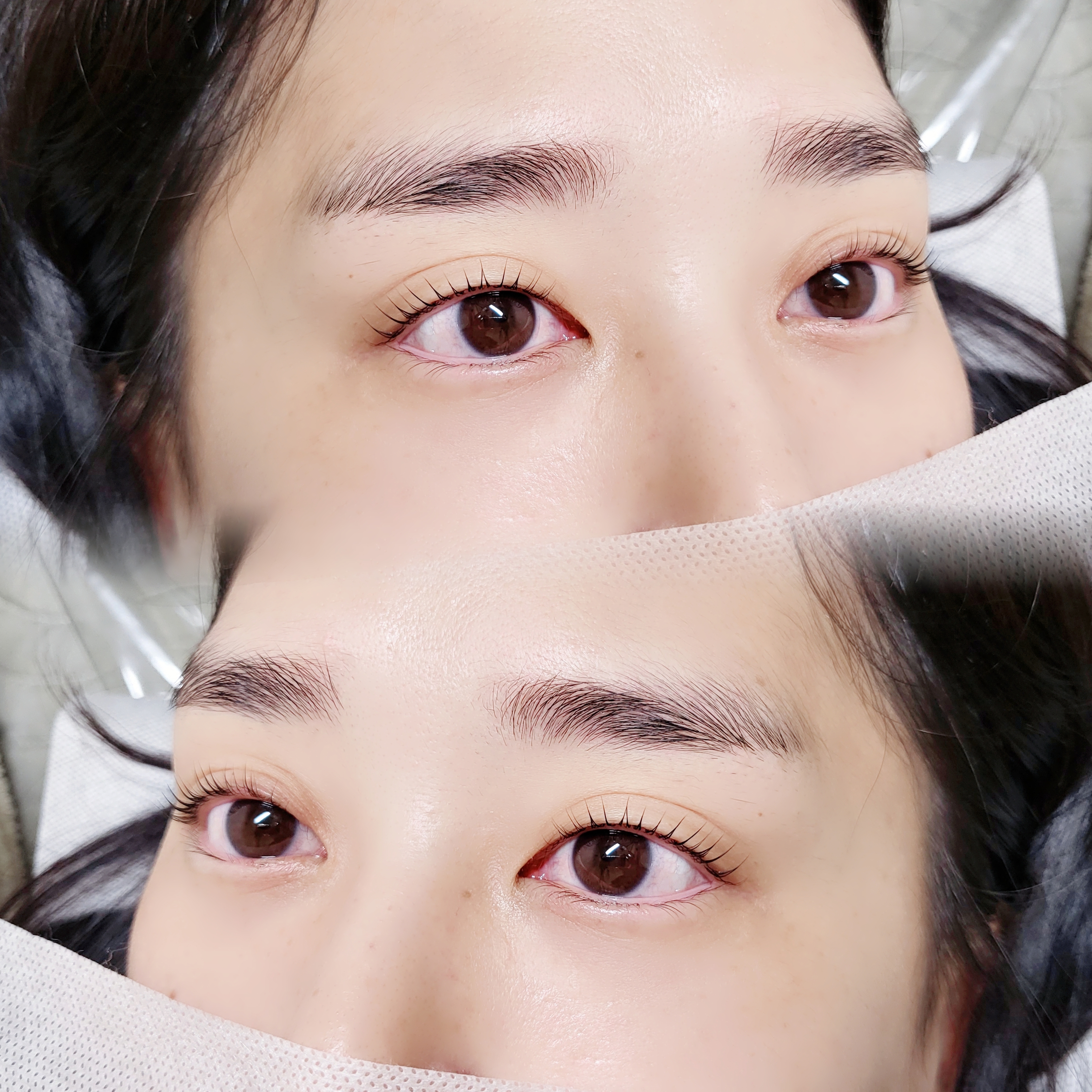 디브로우
