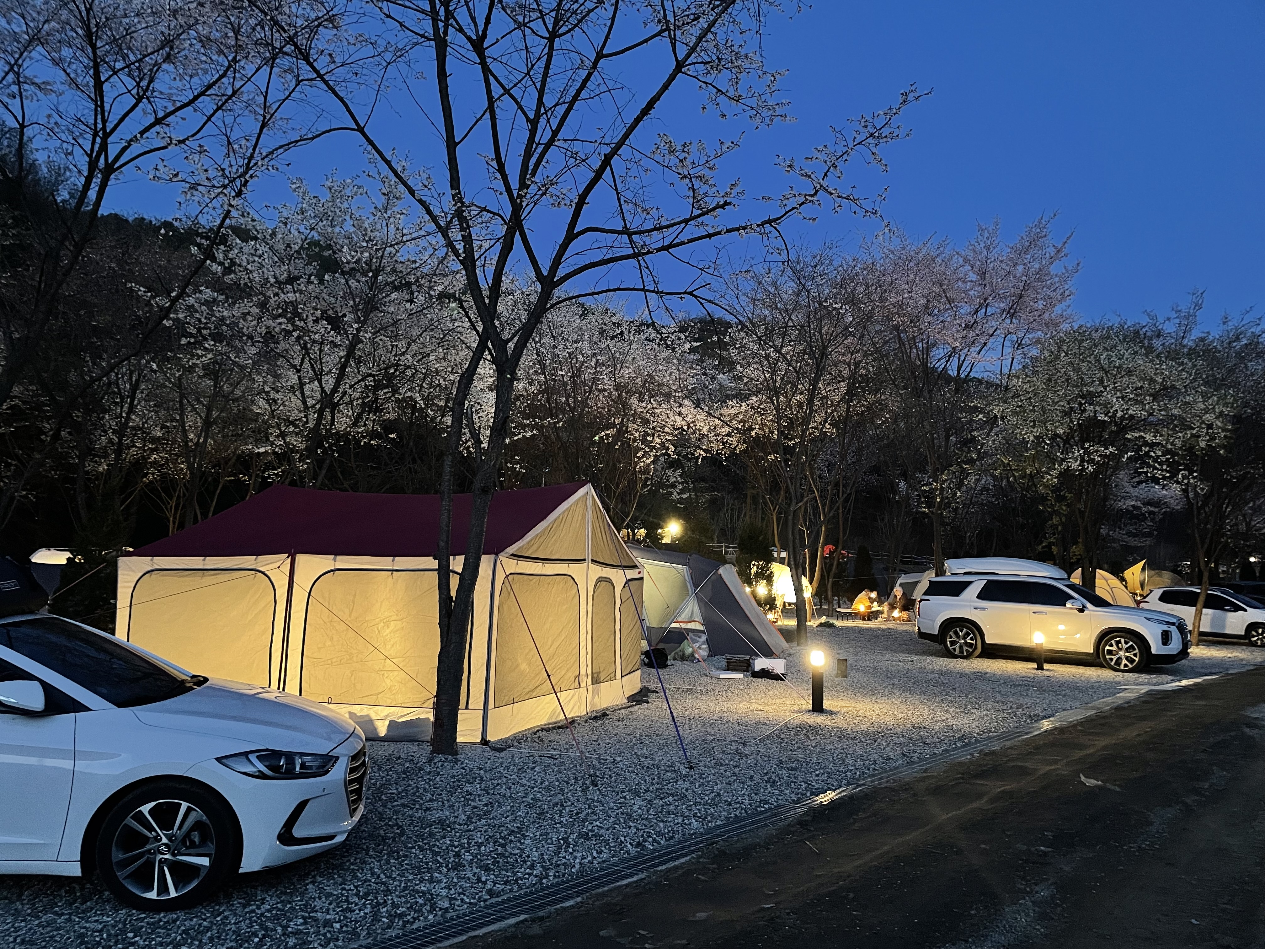 울미숲 오토캠핑장