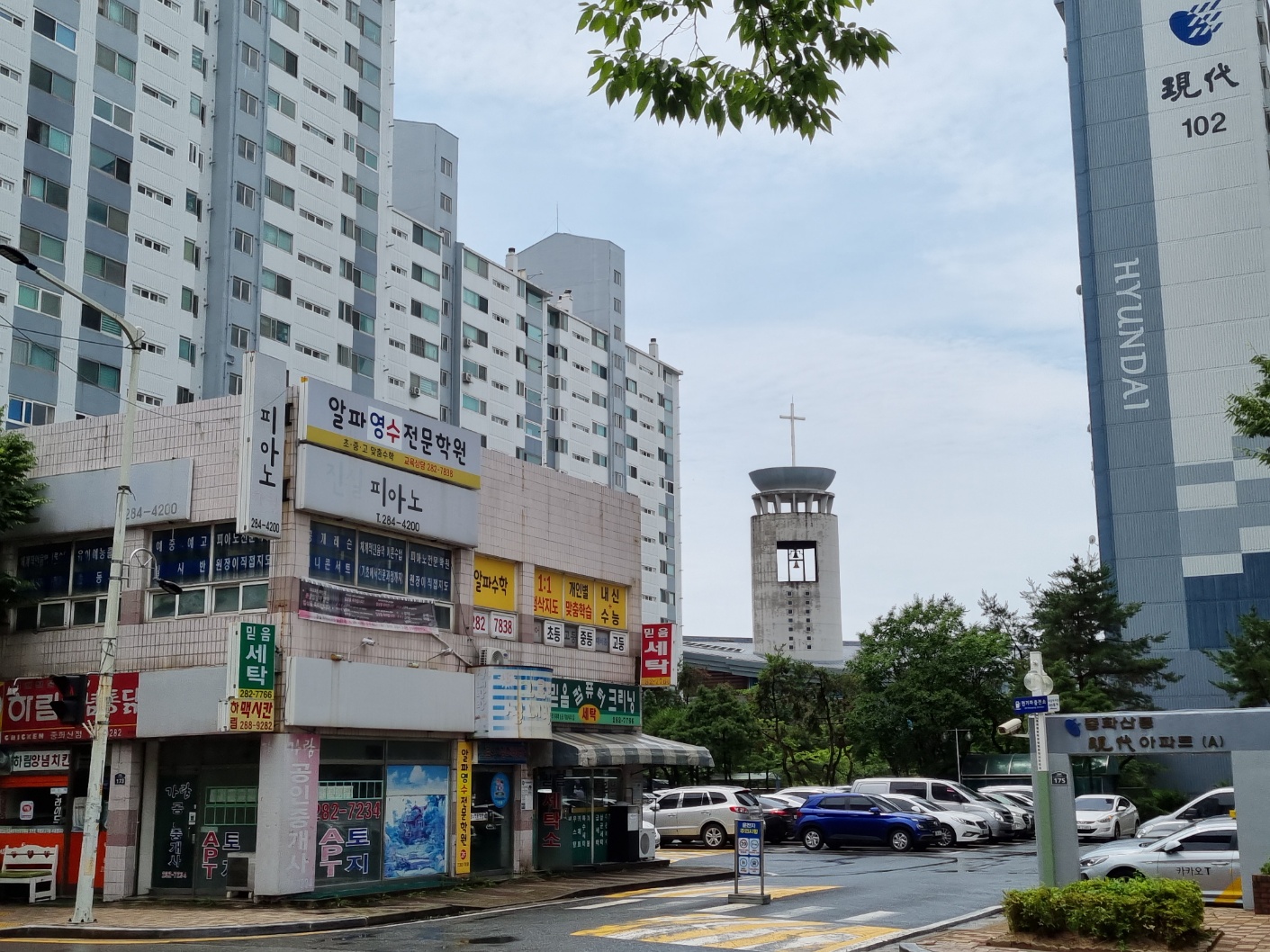 알파영수전문학원
