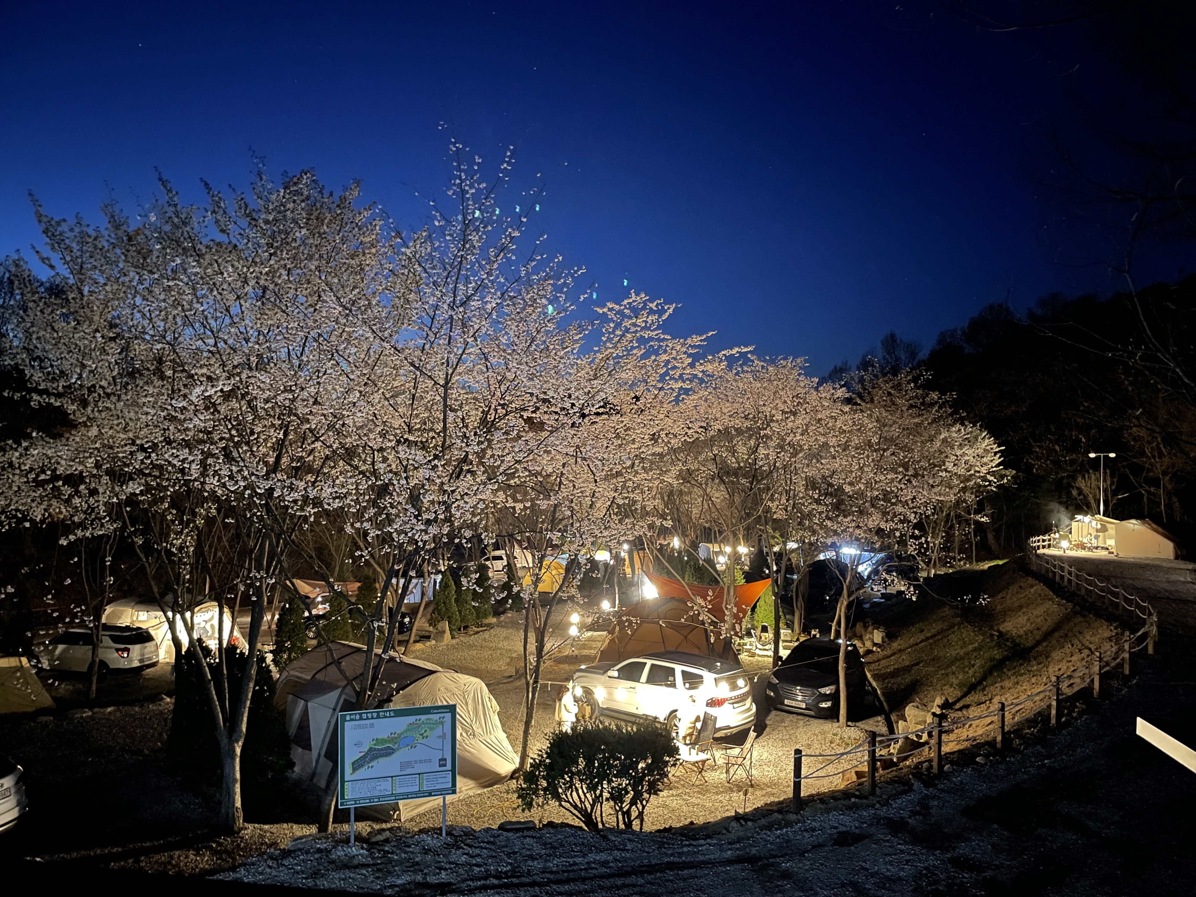 울미숲 오토캠핑장