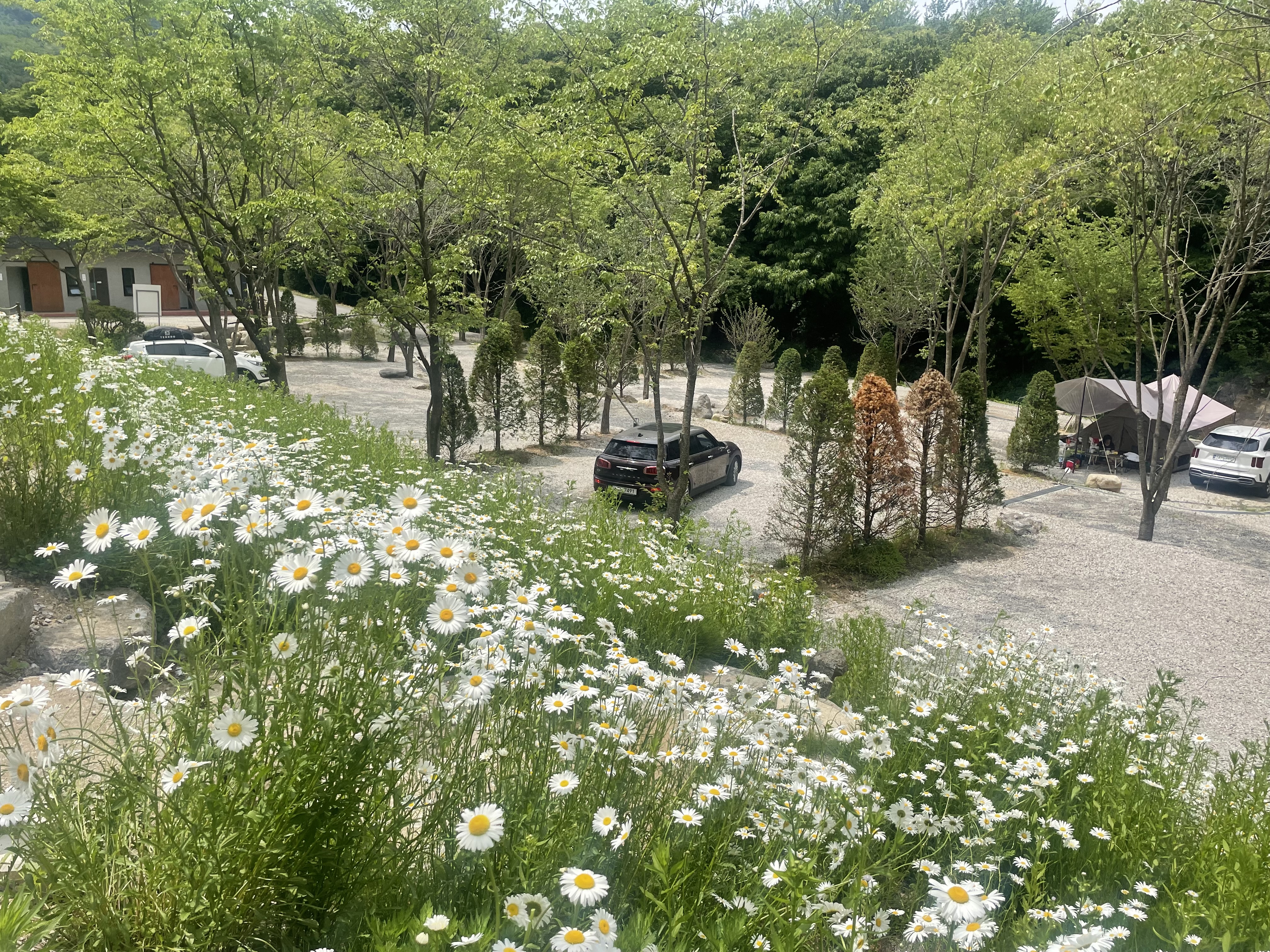 울미숲 오토캠핑장