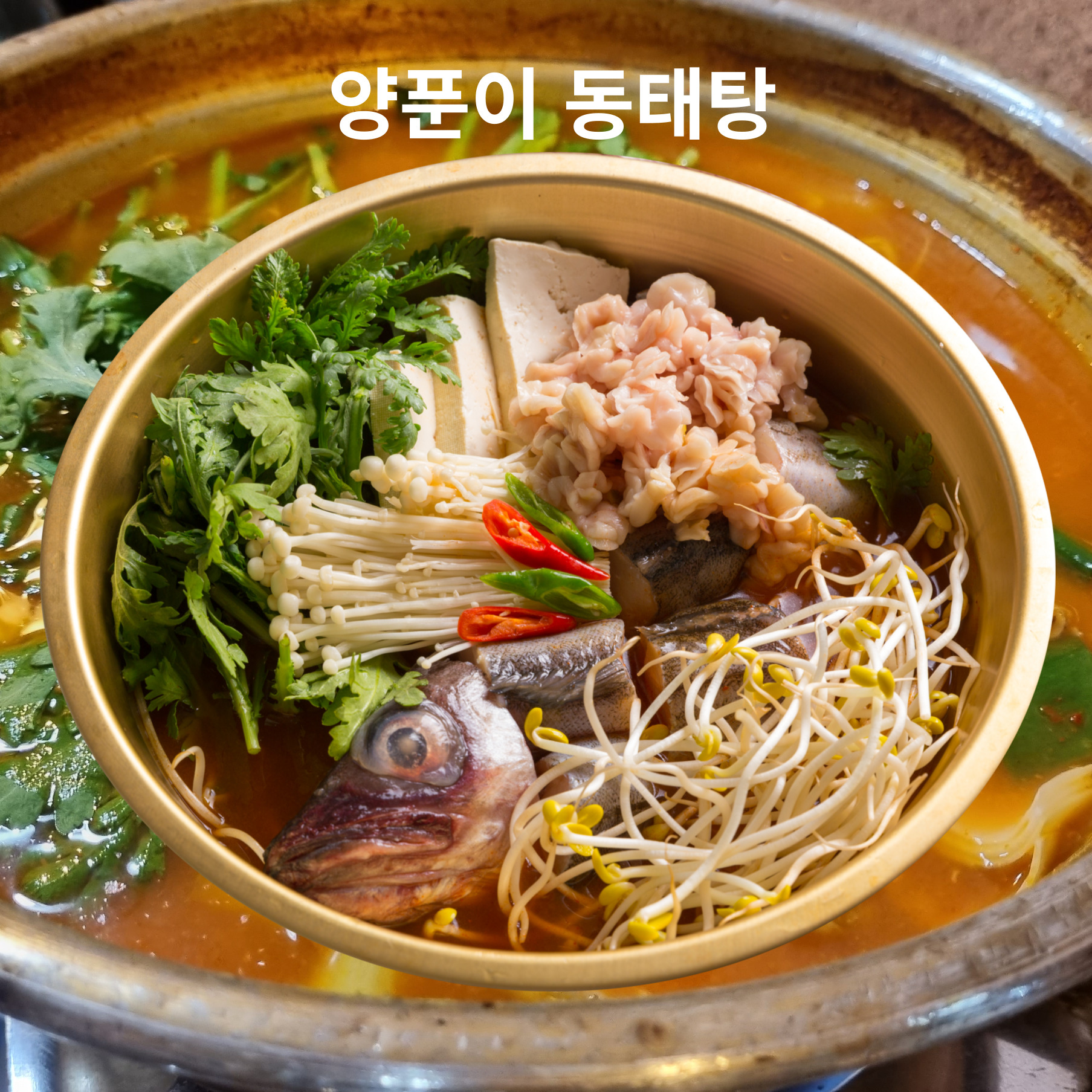 황금오리
