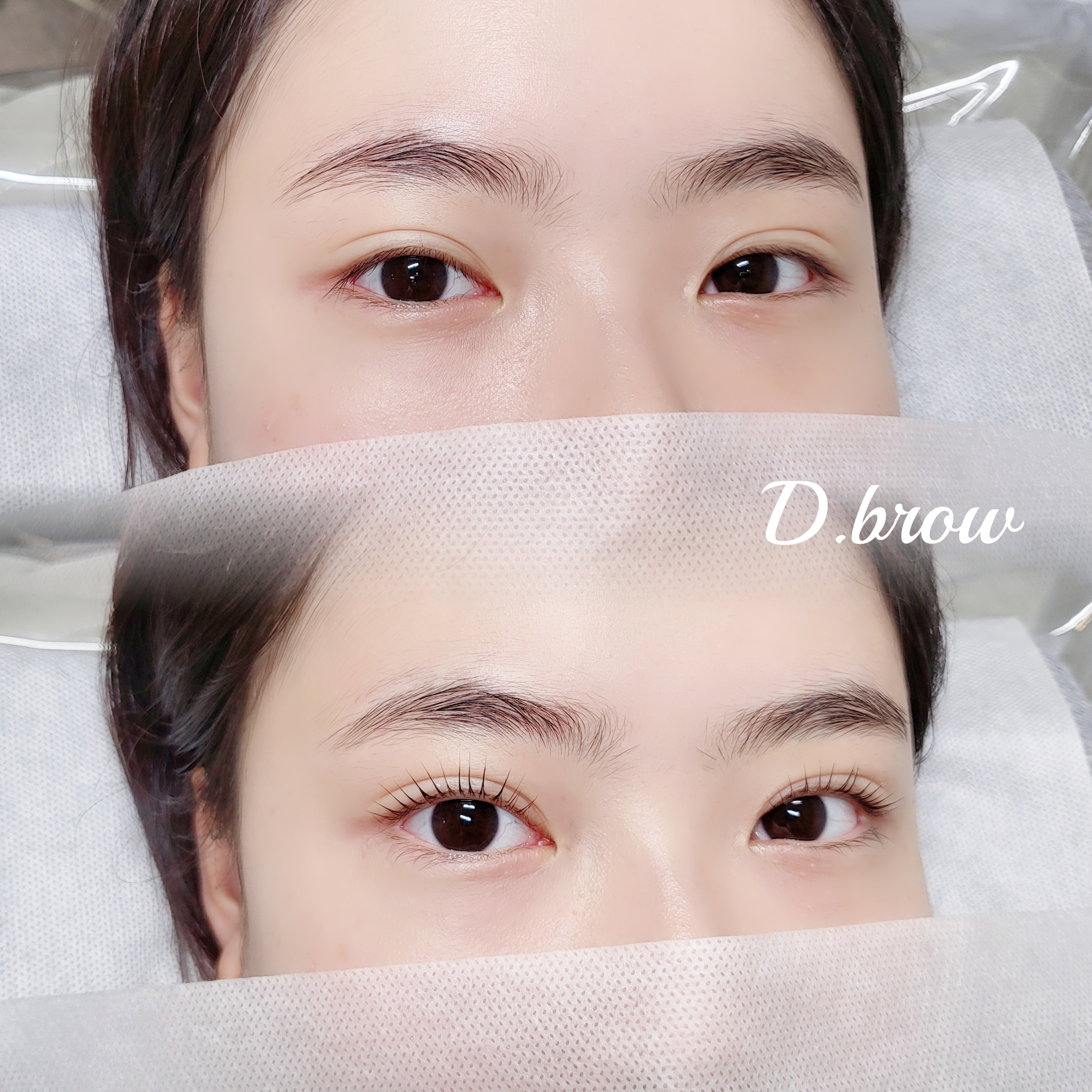 디브로우