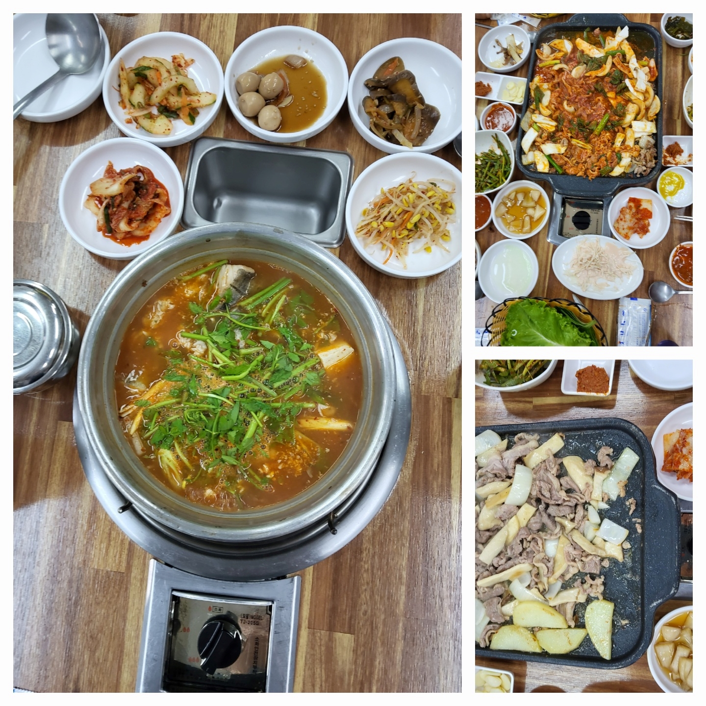 황금오리