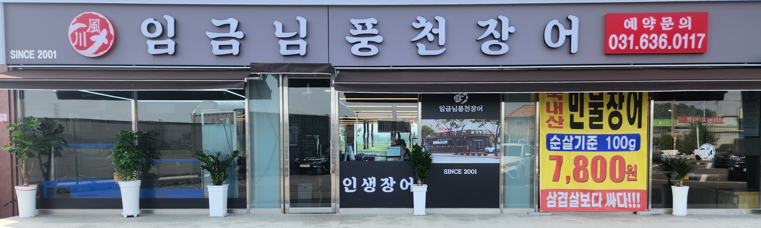 임금님풍천장어