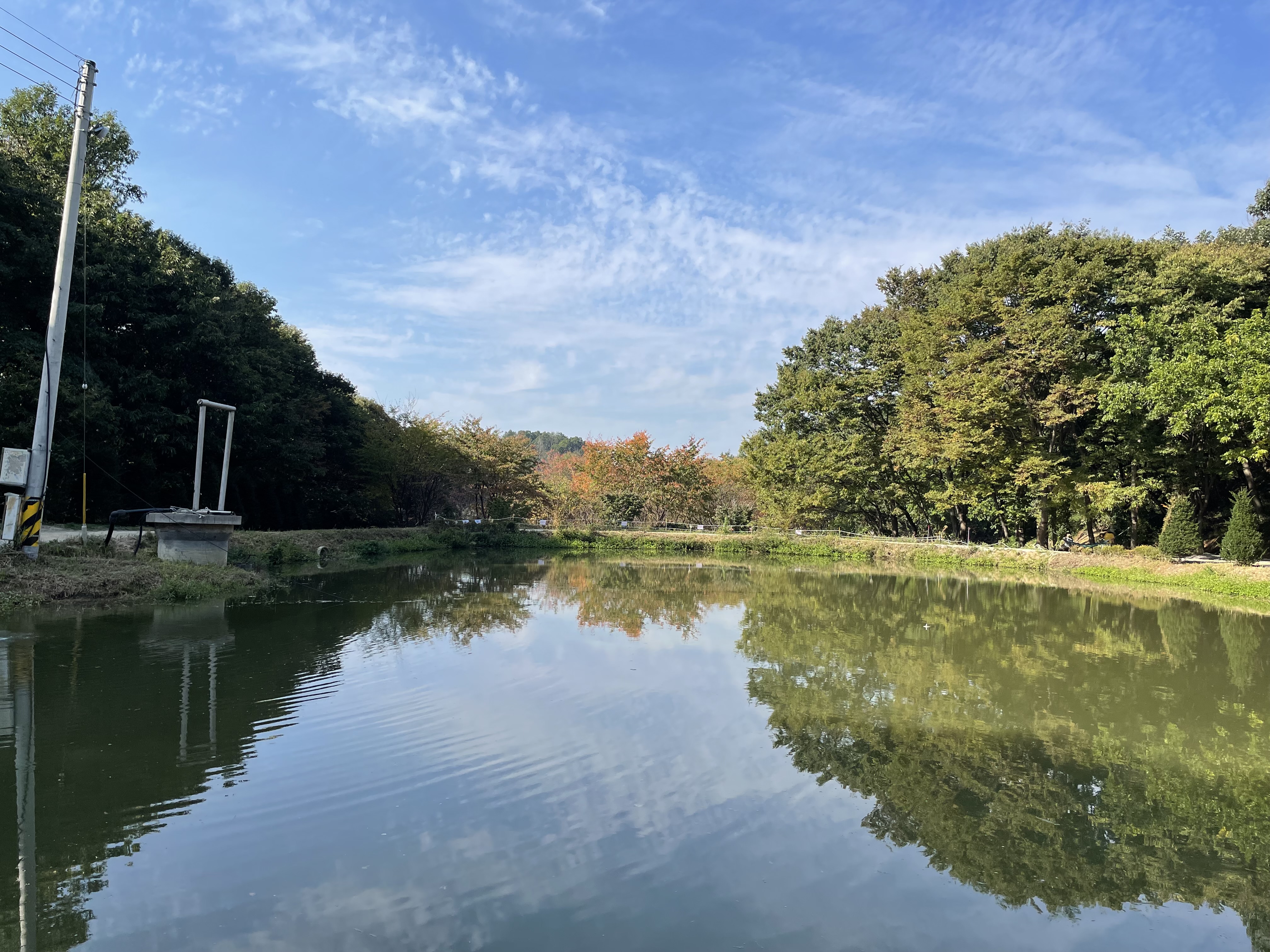 울미숲 오토캠핑장