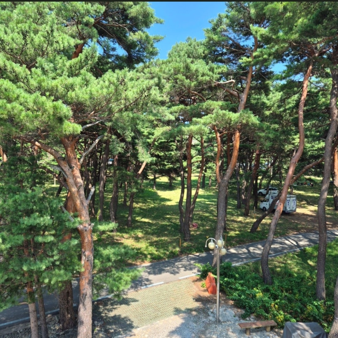 송림민박