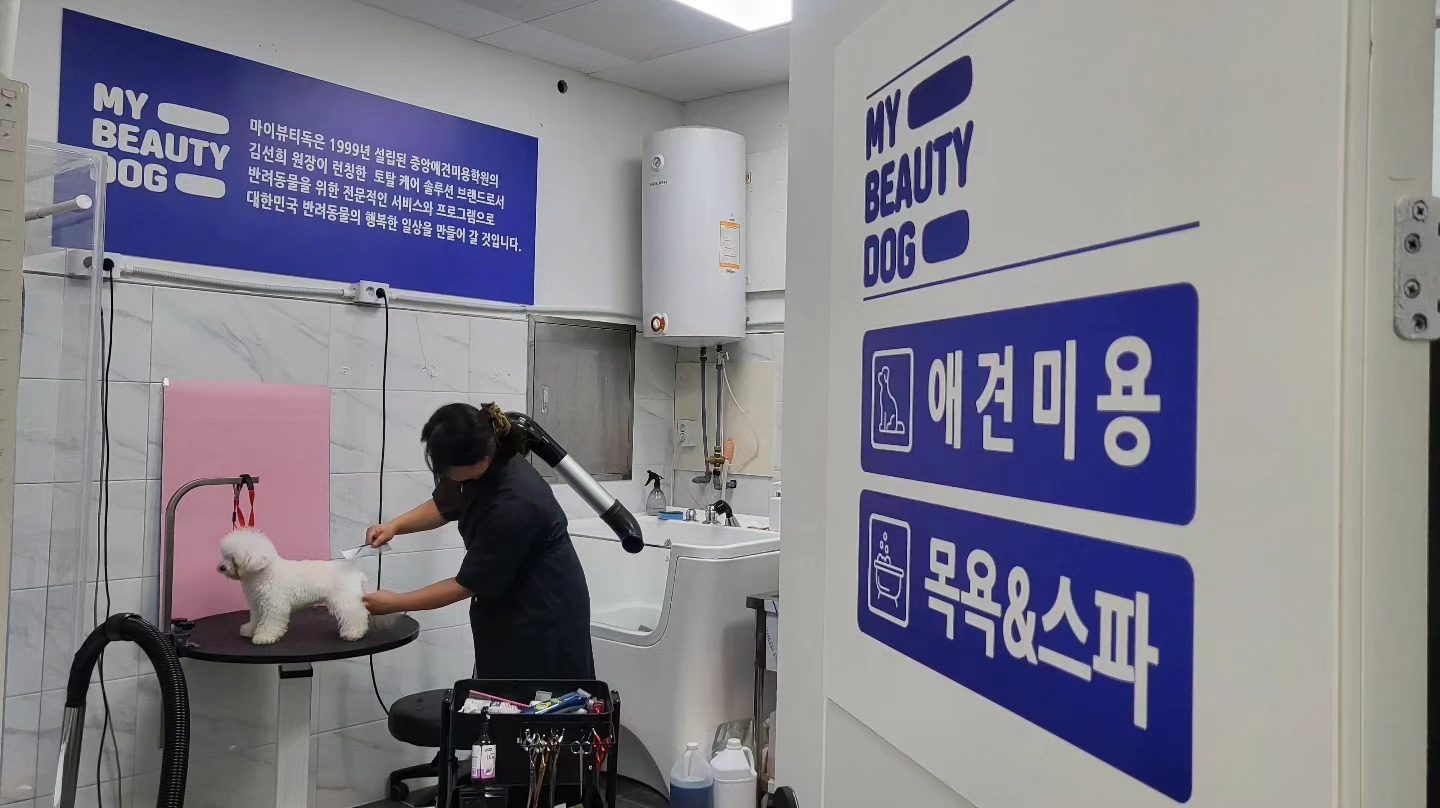 중앙애견미용학원