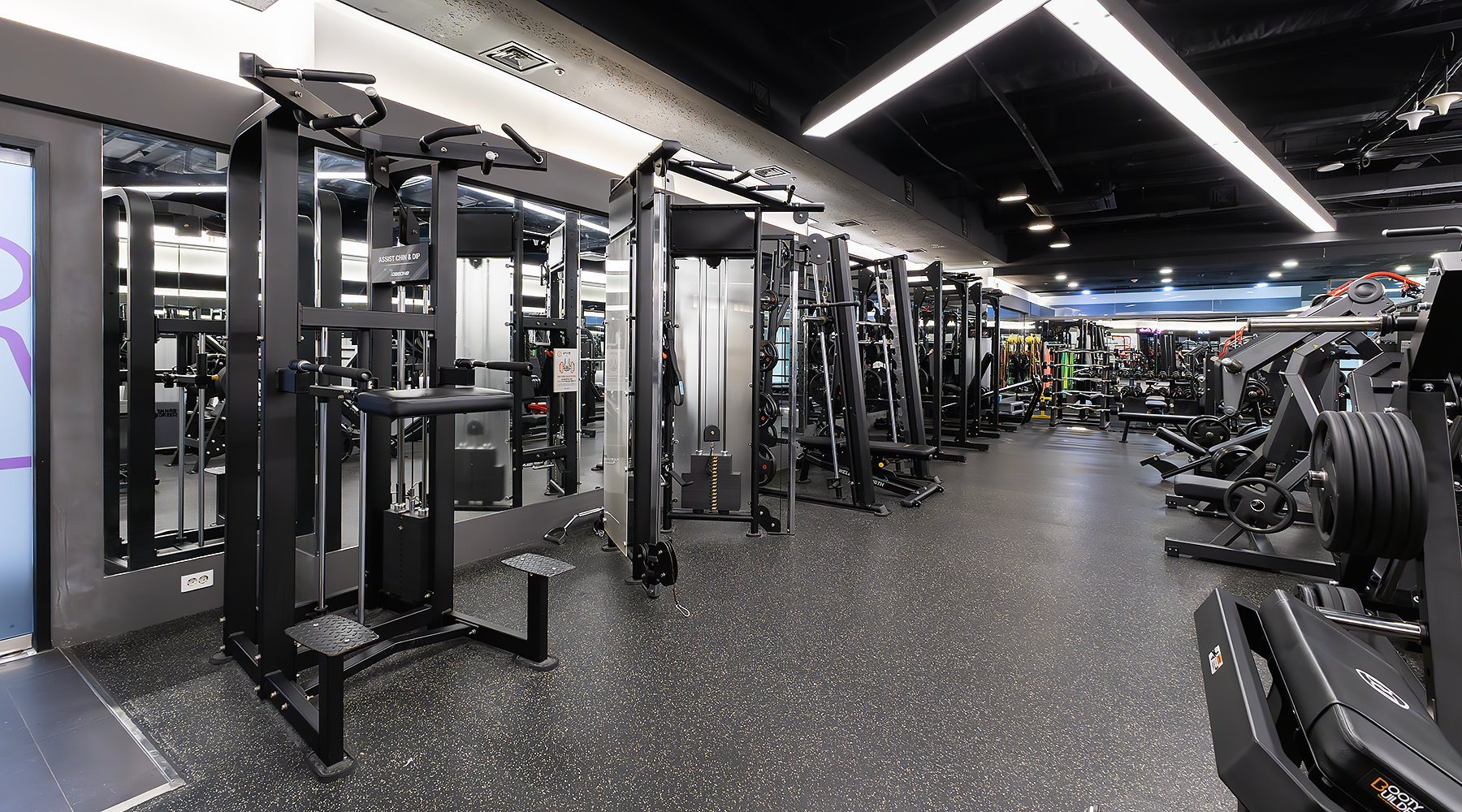 스포짐 종로점 PT&헬스 대표 이미지