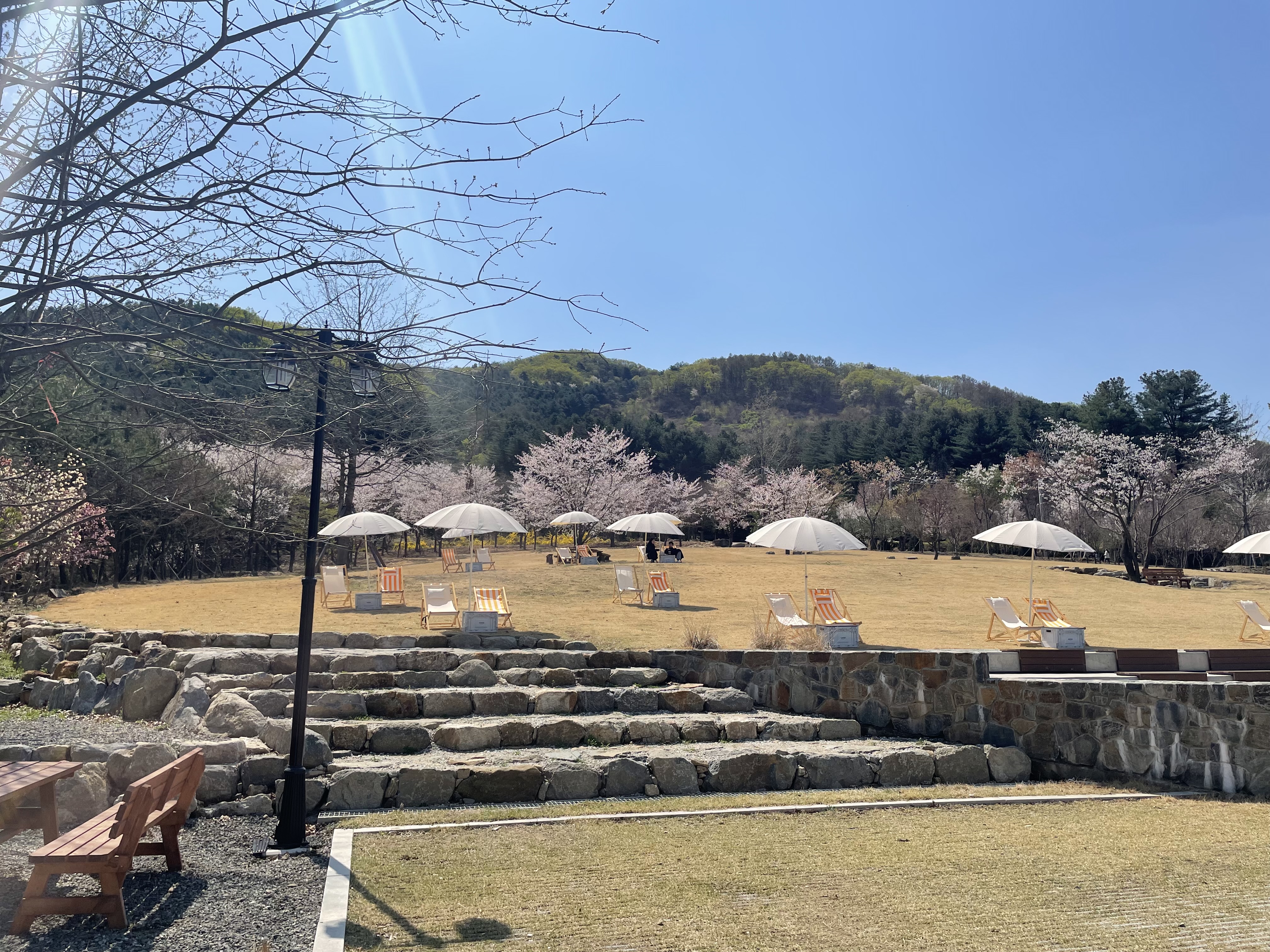 울미숲 오토캠핑장