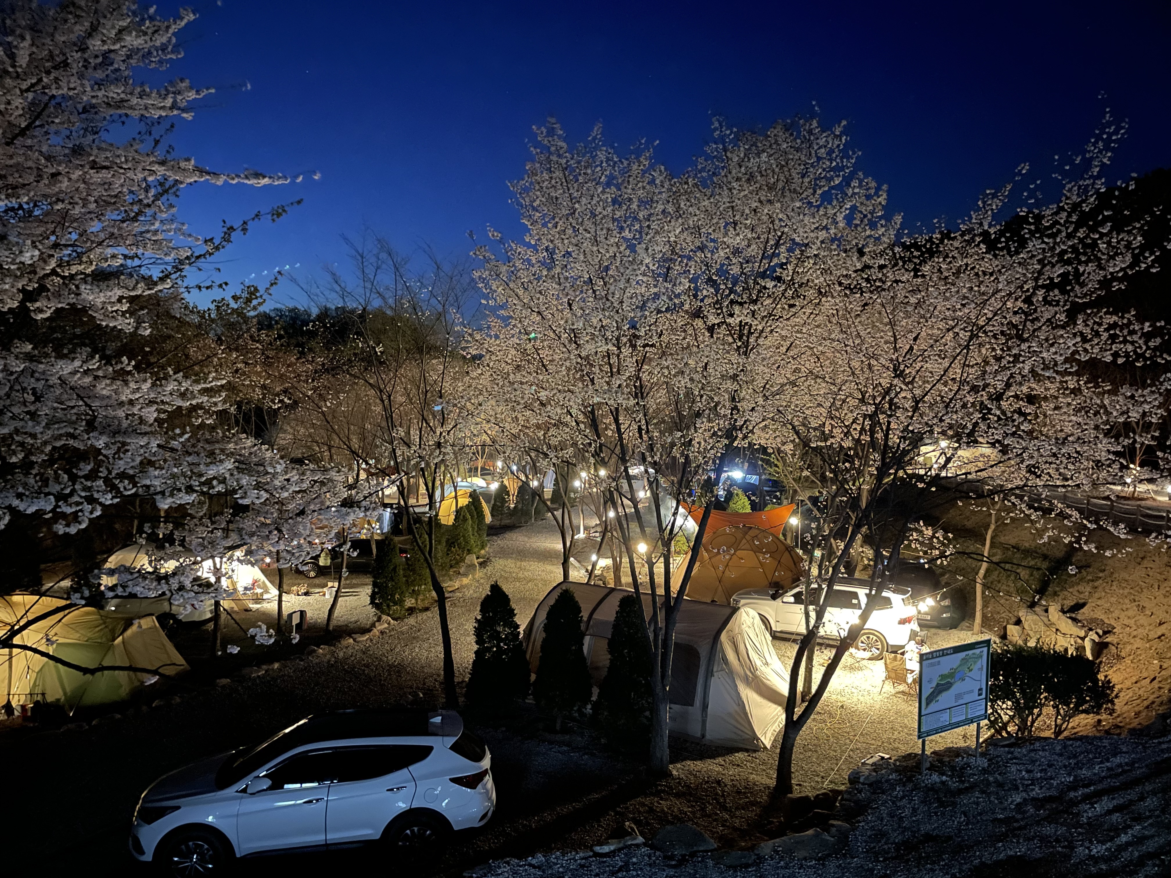 울미숲 오토캠핑장