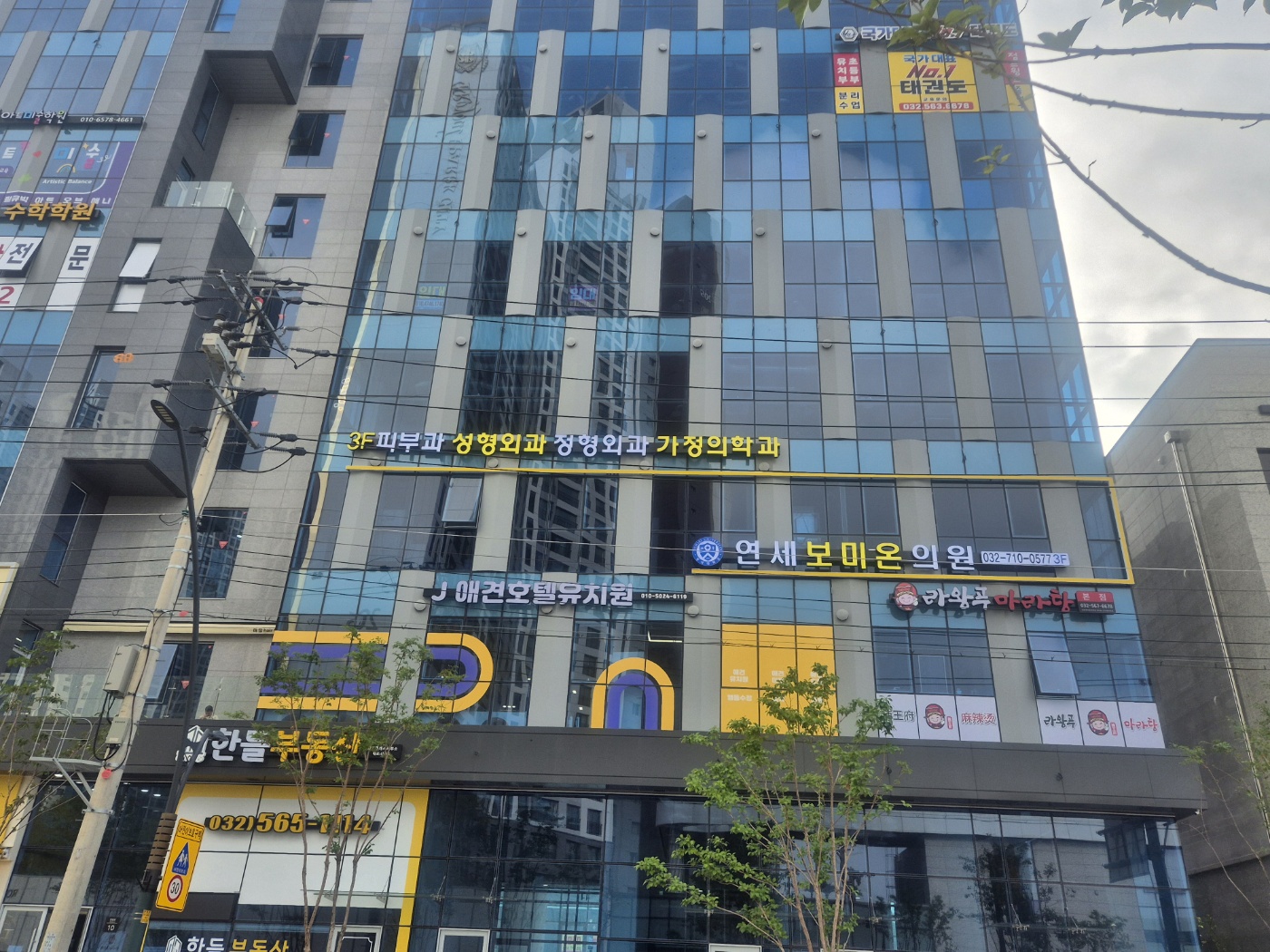 연세보미온의원