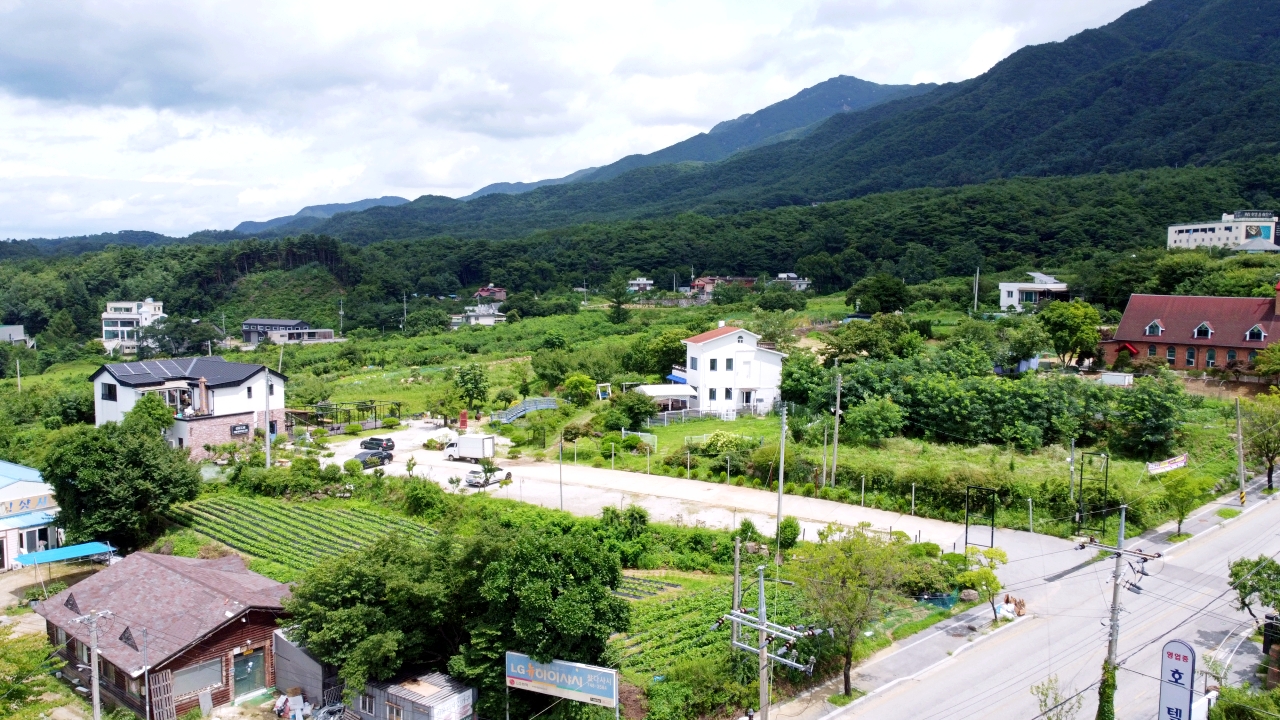 컴투펫위탁보호센터 서울점 5