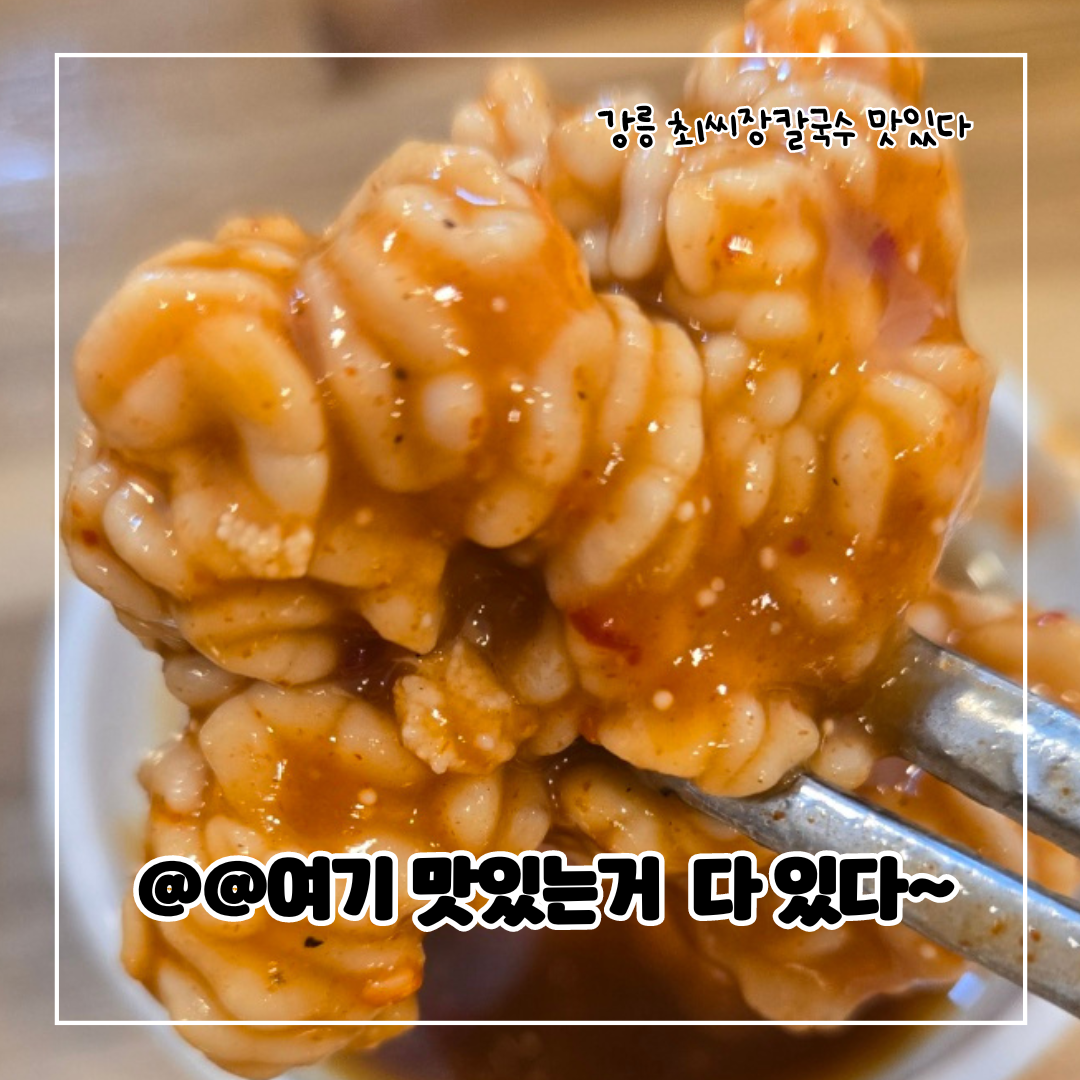 최씨장칼국수