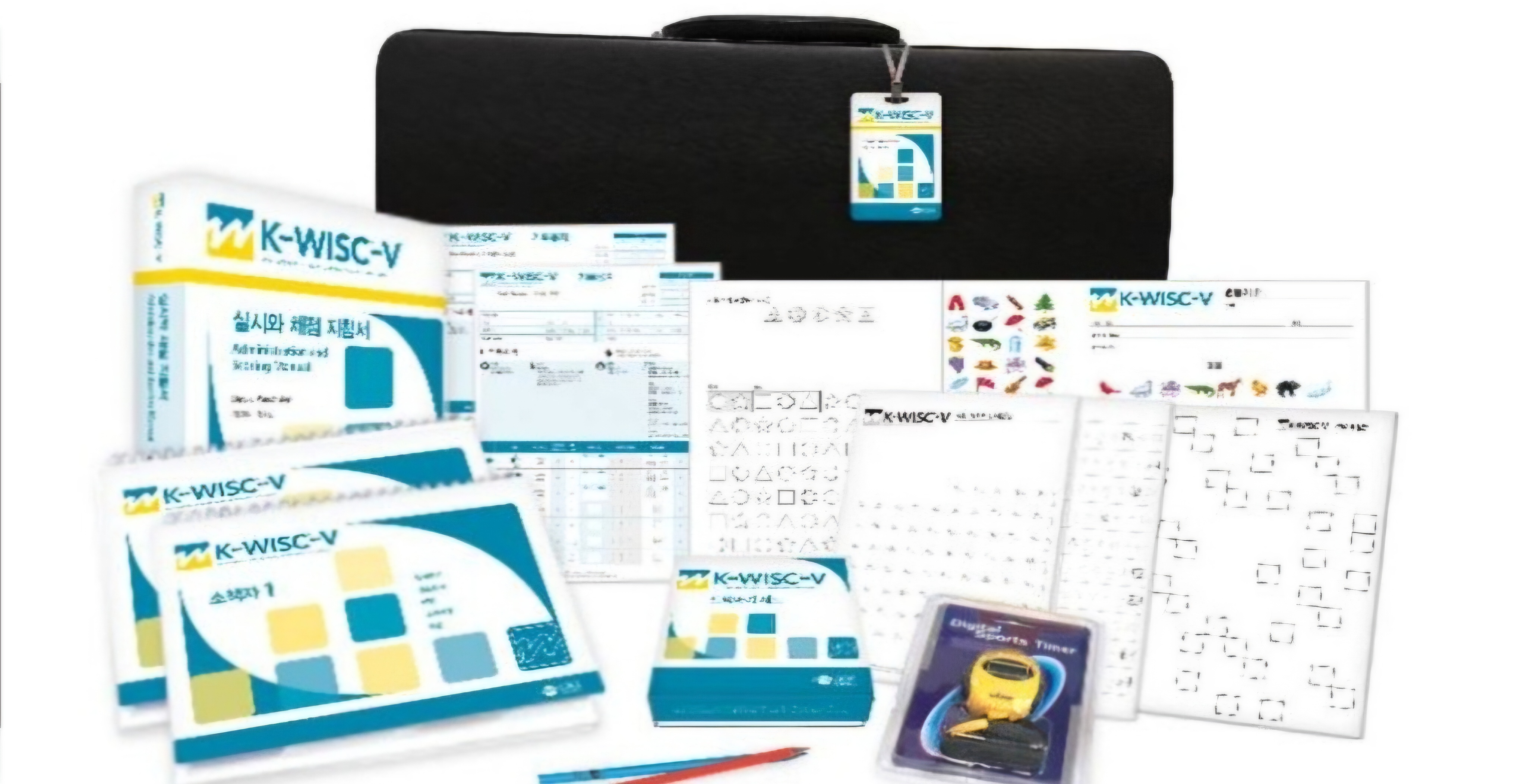 리사킴 랩 대표 이미지