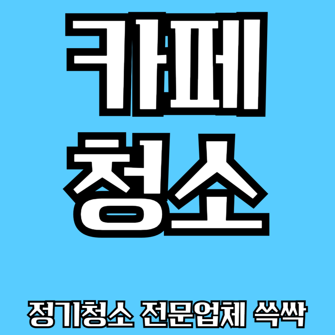 정기청소 전문업체 쓱싹 일산본점
