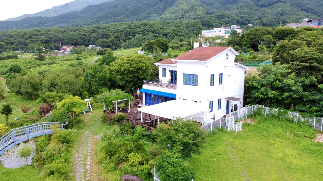 컴투펫위탁보호센터 서울점 3