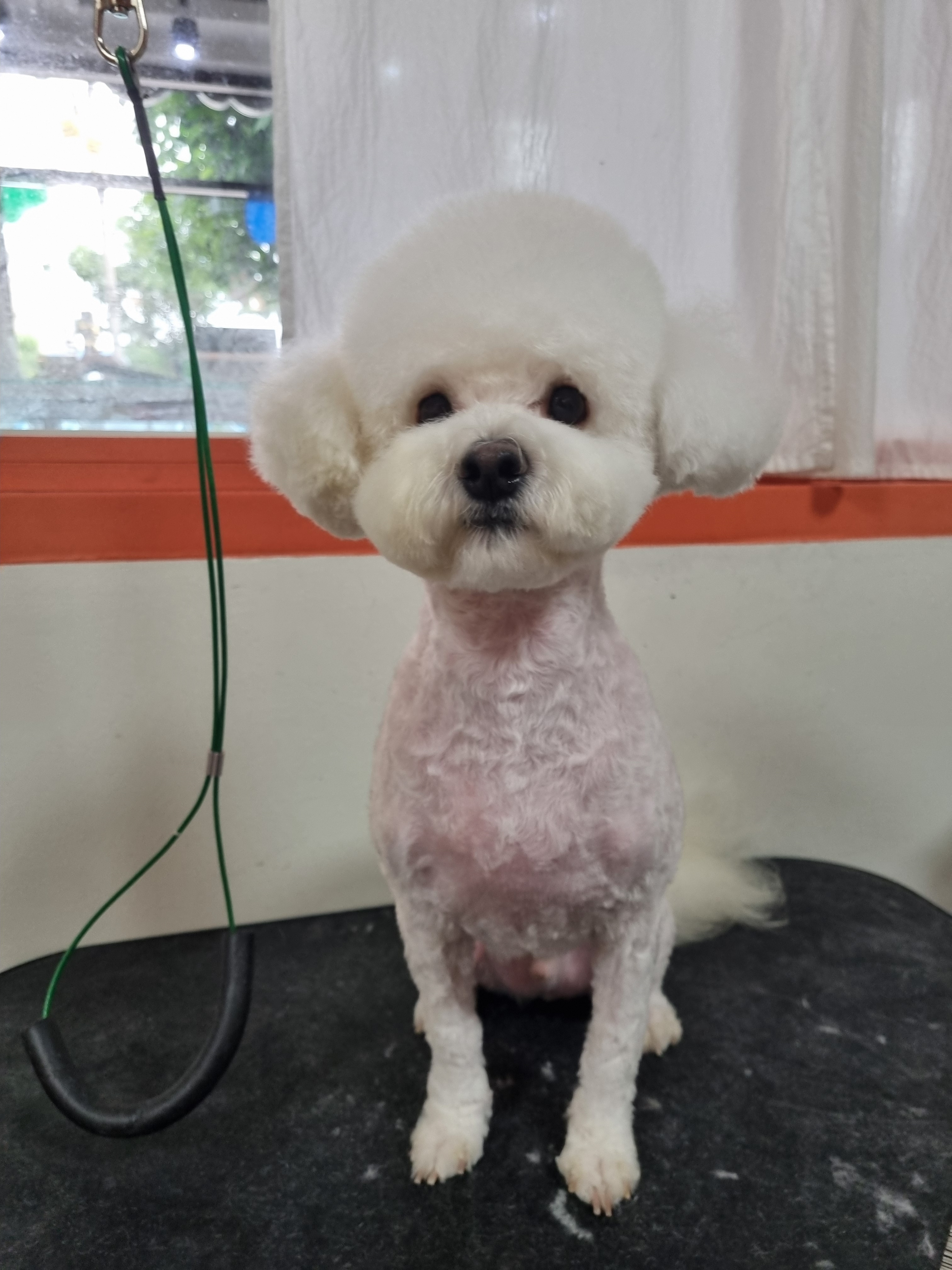 몽쉘몽봉 대표 이미지